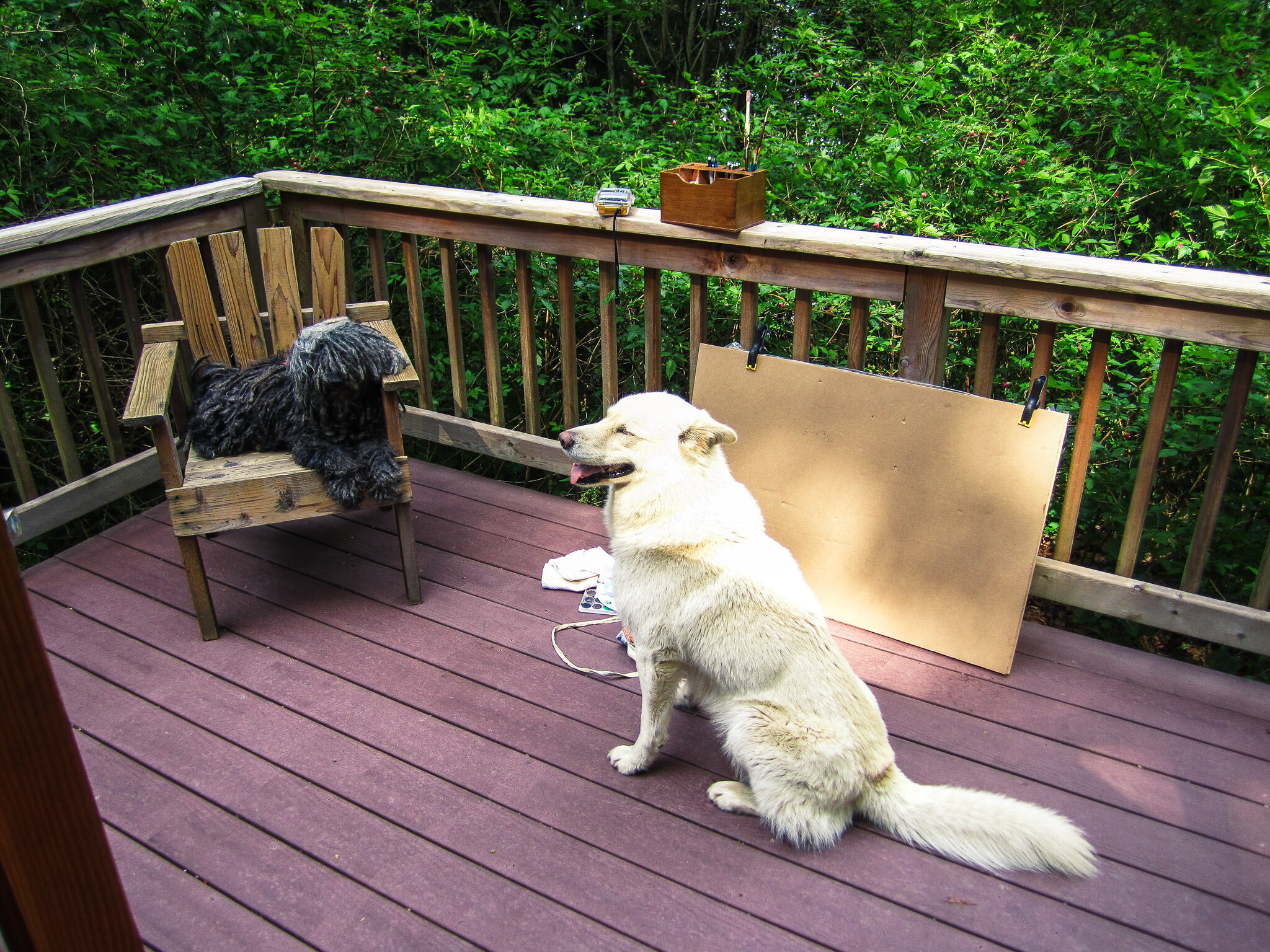 Porch hang - 2010