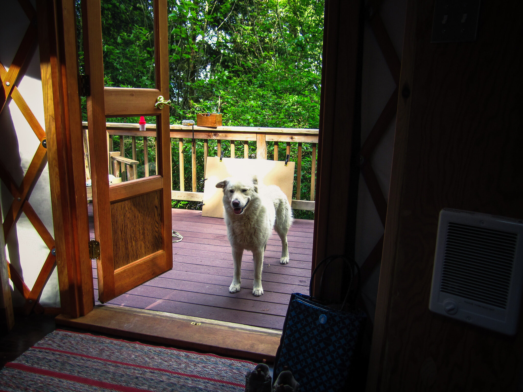 Osito greeting us one morning - 2010