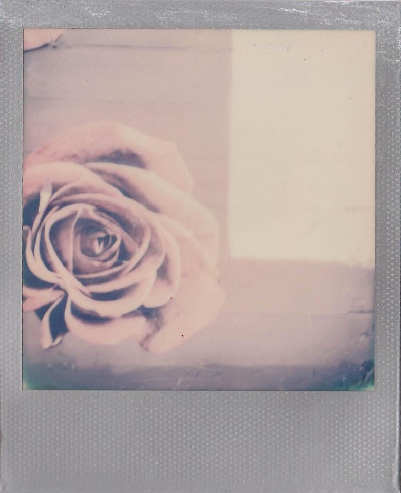 Photo by Alli