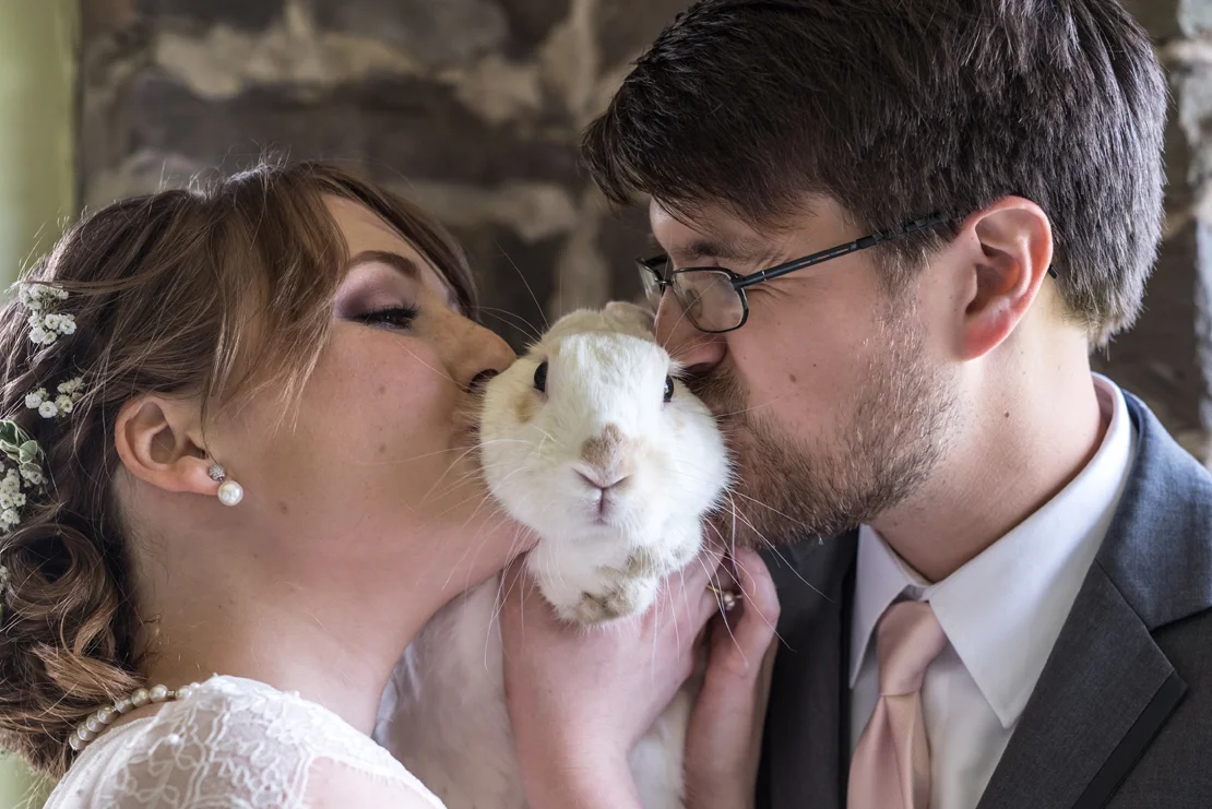 Bunny Rabbit as a pet with bride and groom at wedding in Buck Hill Falls PA. Smile Peace Love Photography.
