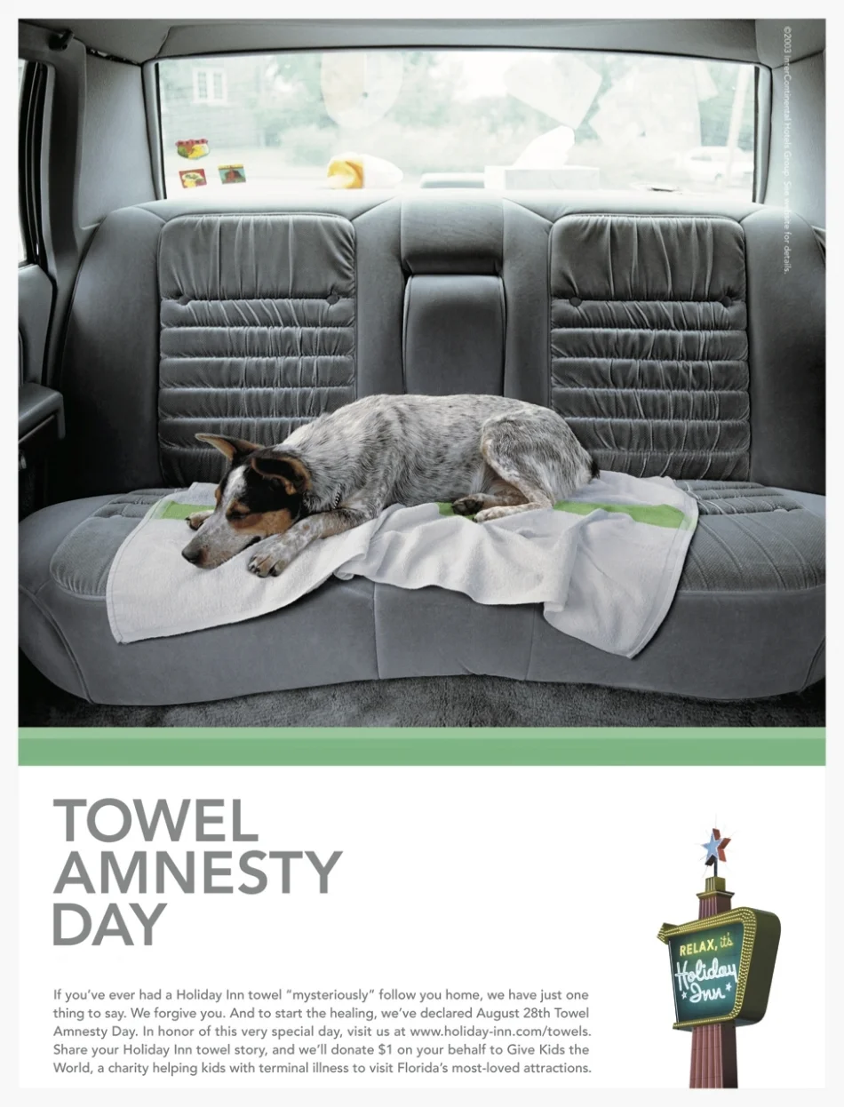 towel amnesty dog.jpg
