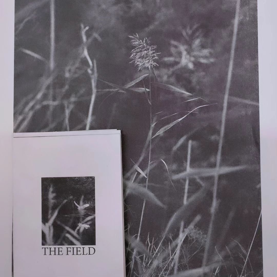 3 great zines by @wilhelmphilipp @bananaoncat @tand0c launching this Saturday 27 July as part of the Small Tales 3 launch.

Supported by a City of Melbourne Arts Grant. #cityofmelbourne
#whatsonmelbourne