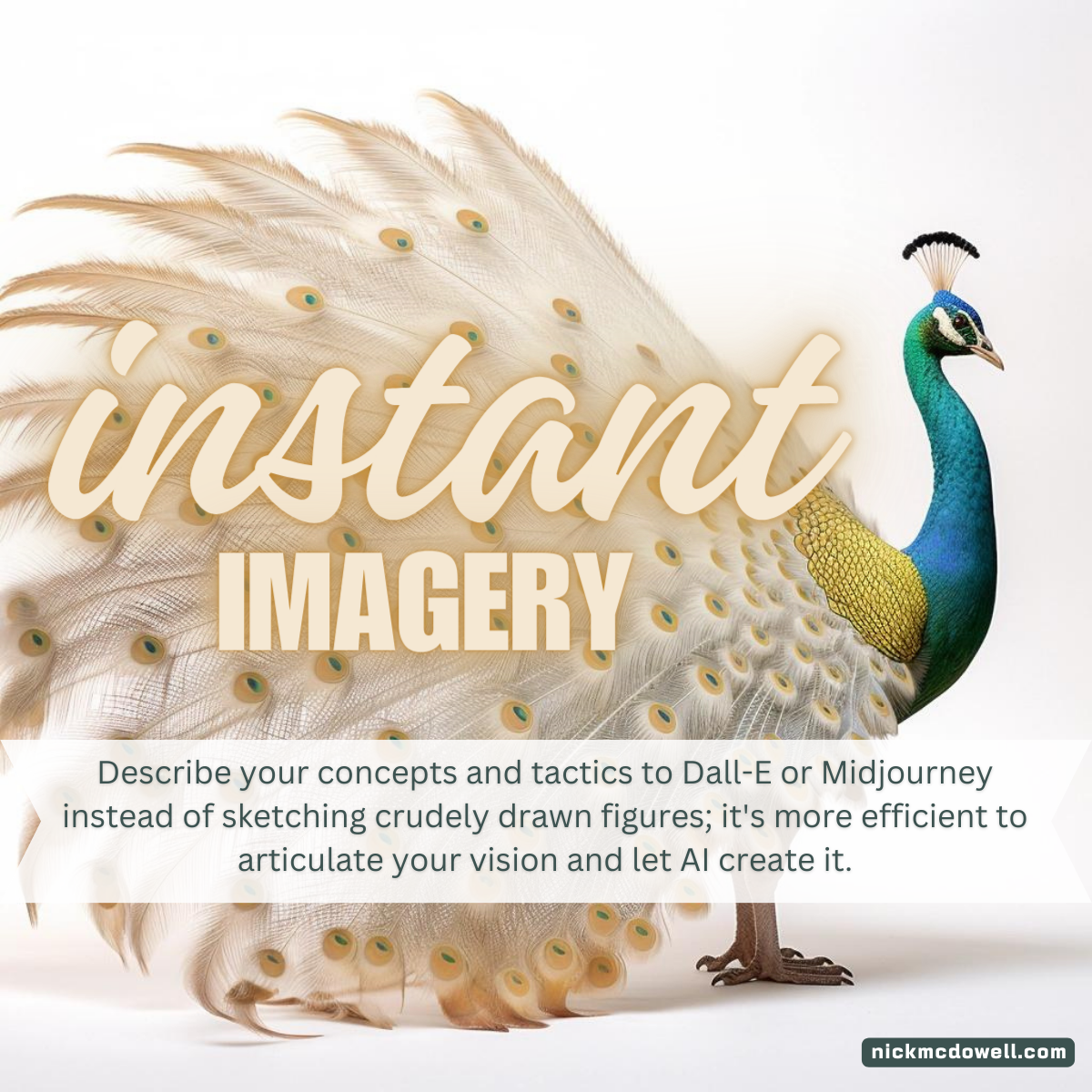 Instant Imagery.png