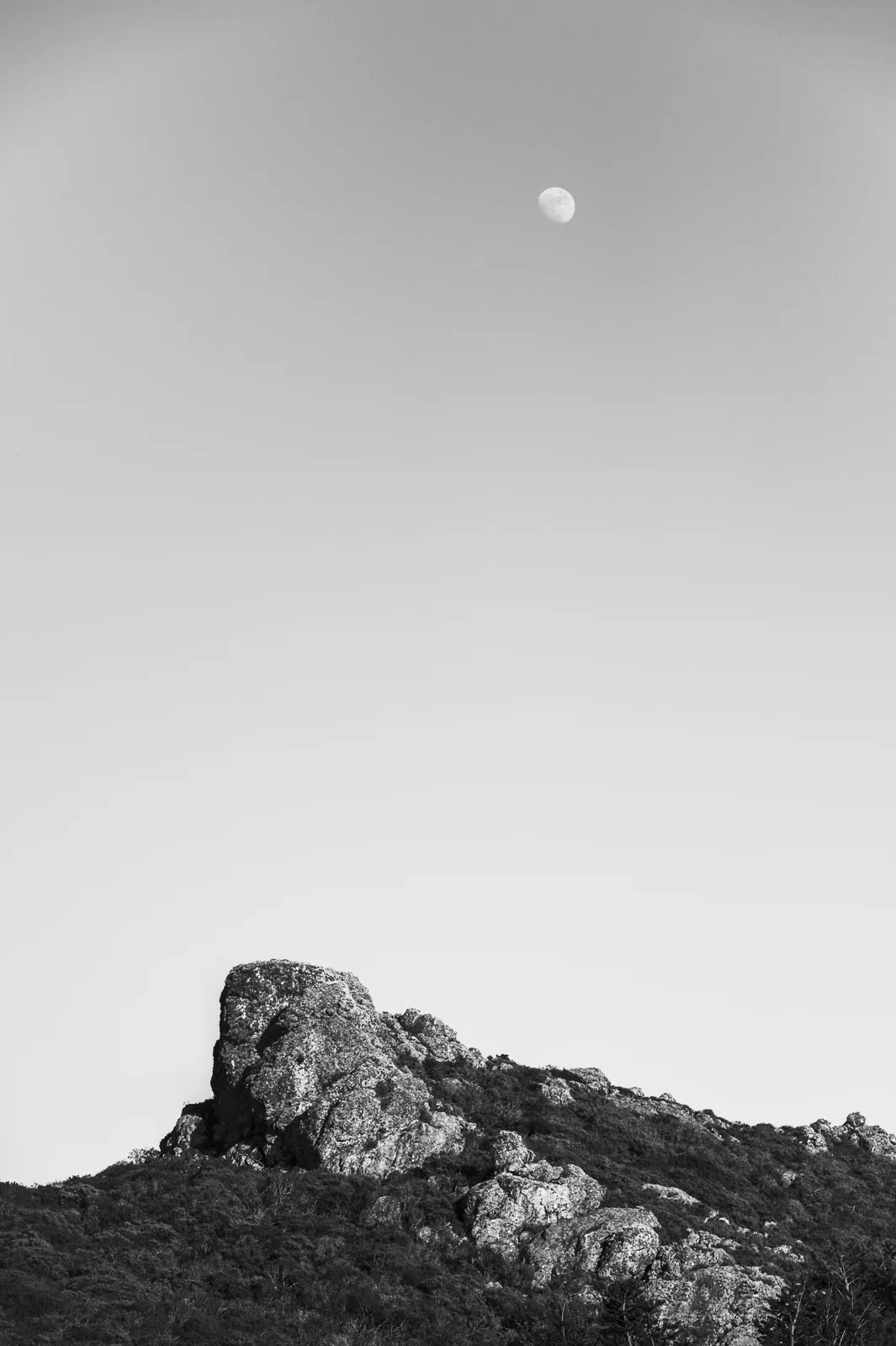 D4S_5776.jpg