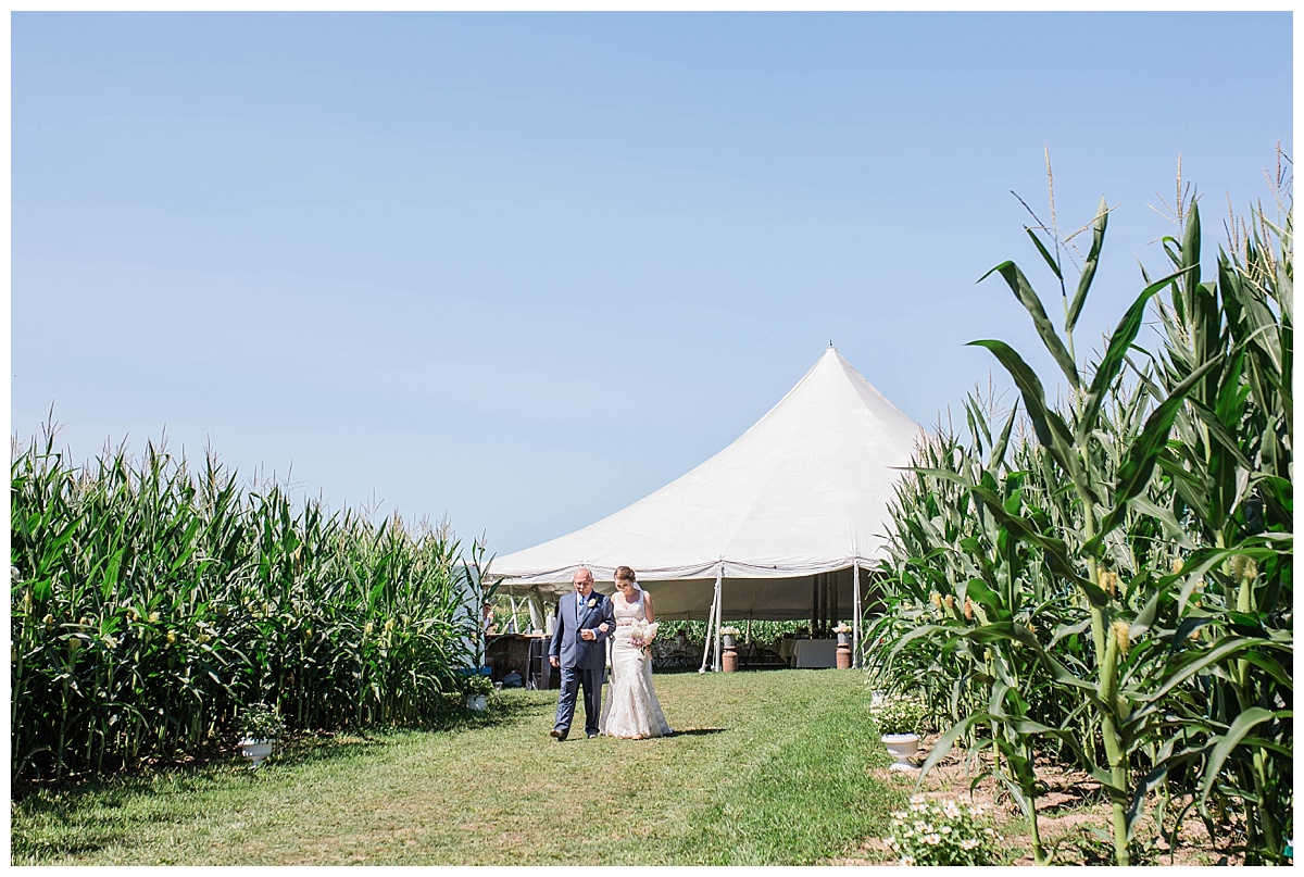 Danny and Leslie - River Ridge Farms Wedding -471.jpg