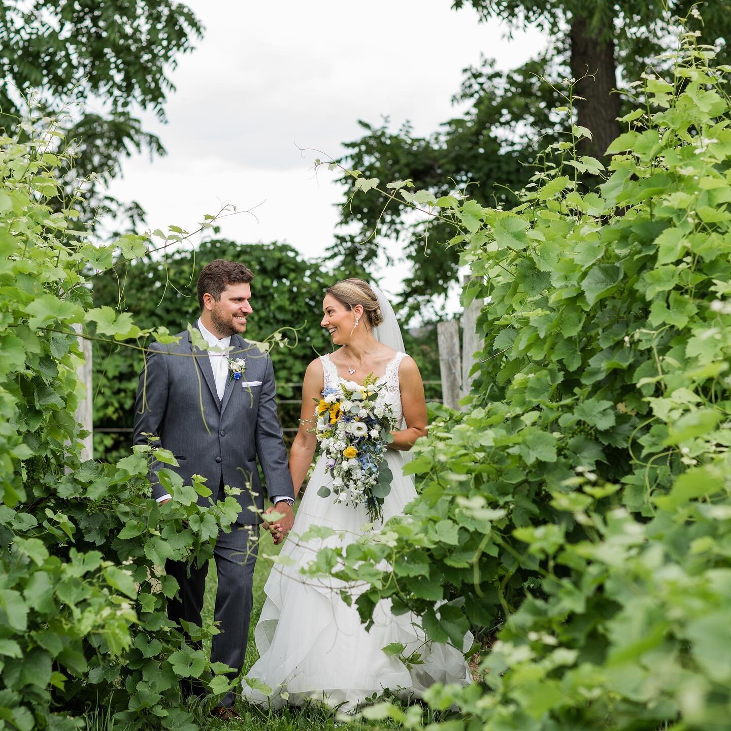 Last weekend at @deerrunwinery celebrating John and Rebecca was SO MUCH FUN!  Today we&rsquo;re lucky to be spending this rainy day home and catching up on edits! 🥰
#deerrunwinery #livco #livingstoncounty #vineyardwedding #lassandbeau #thehappynow #