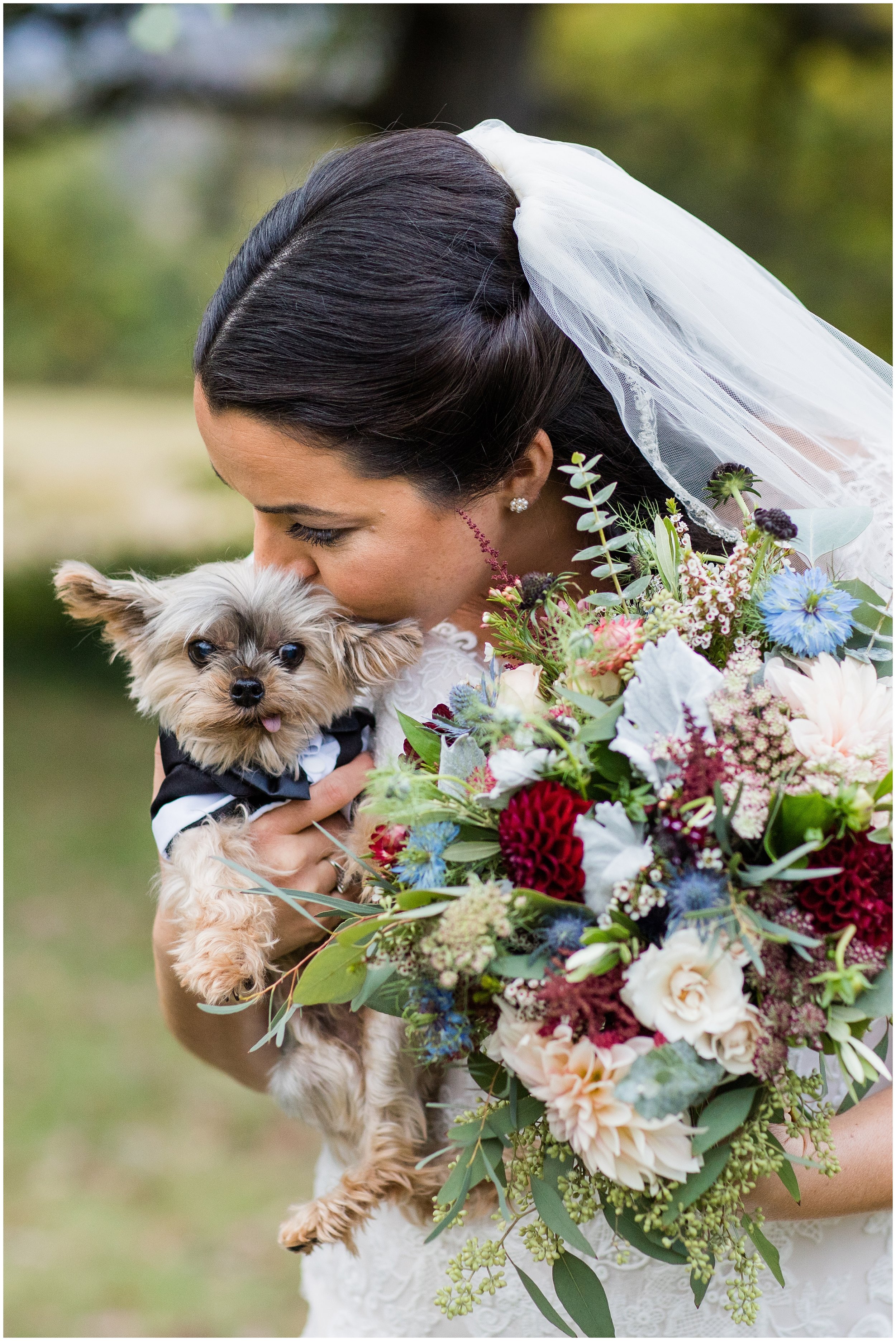 bride and her dog photo 