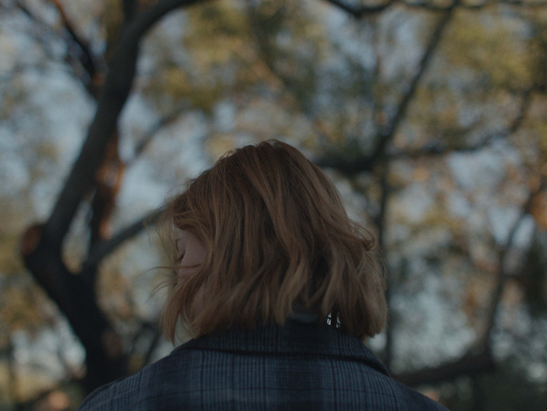 Still 2025-05-19 173824_1.1.309.png