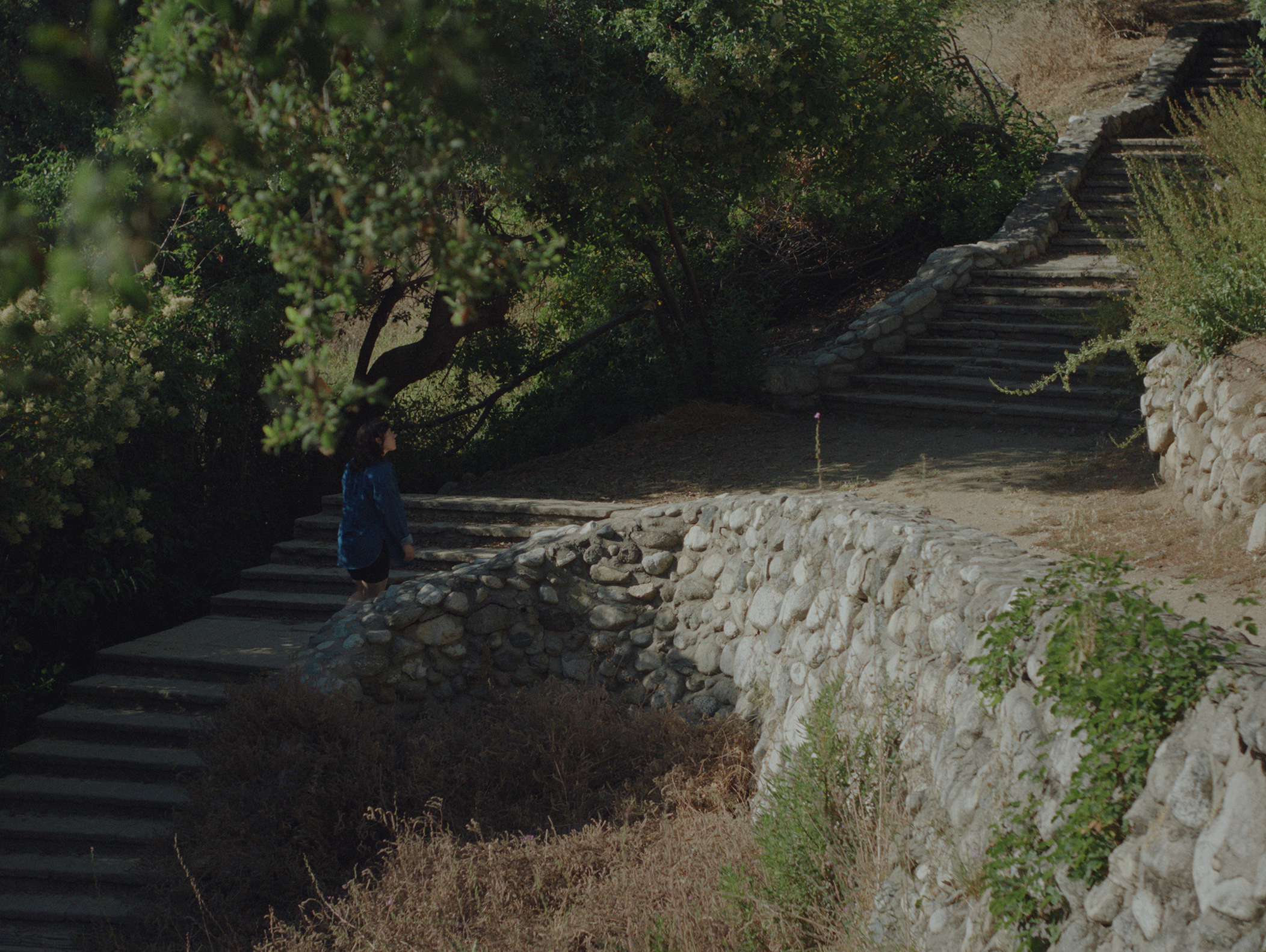 Still 2025-05-19 173824_1.1.339.png