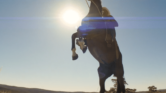 ezgif.com-crop.gif