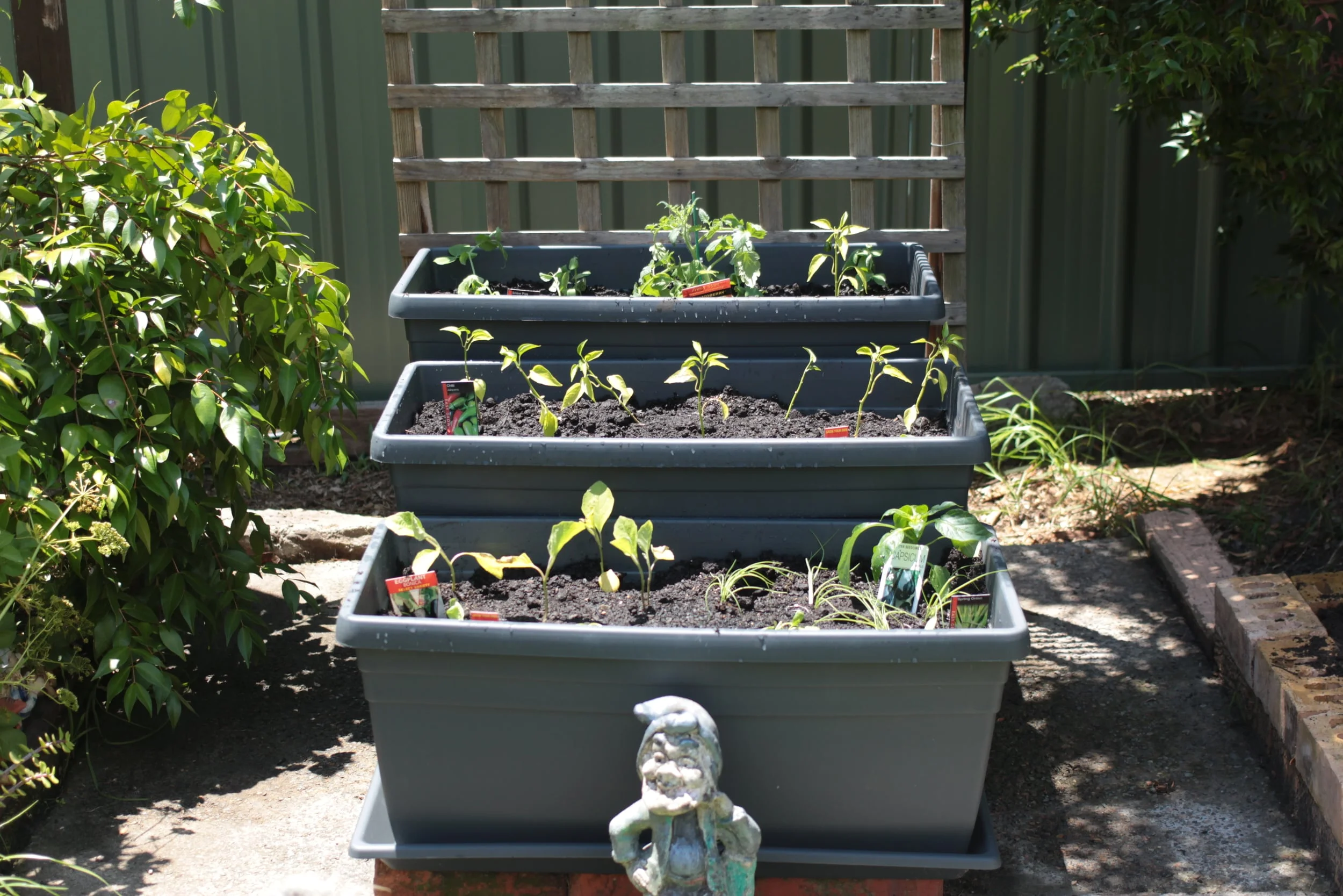 Aforementioned Garden