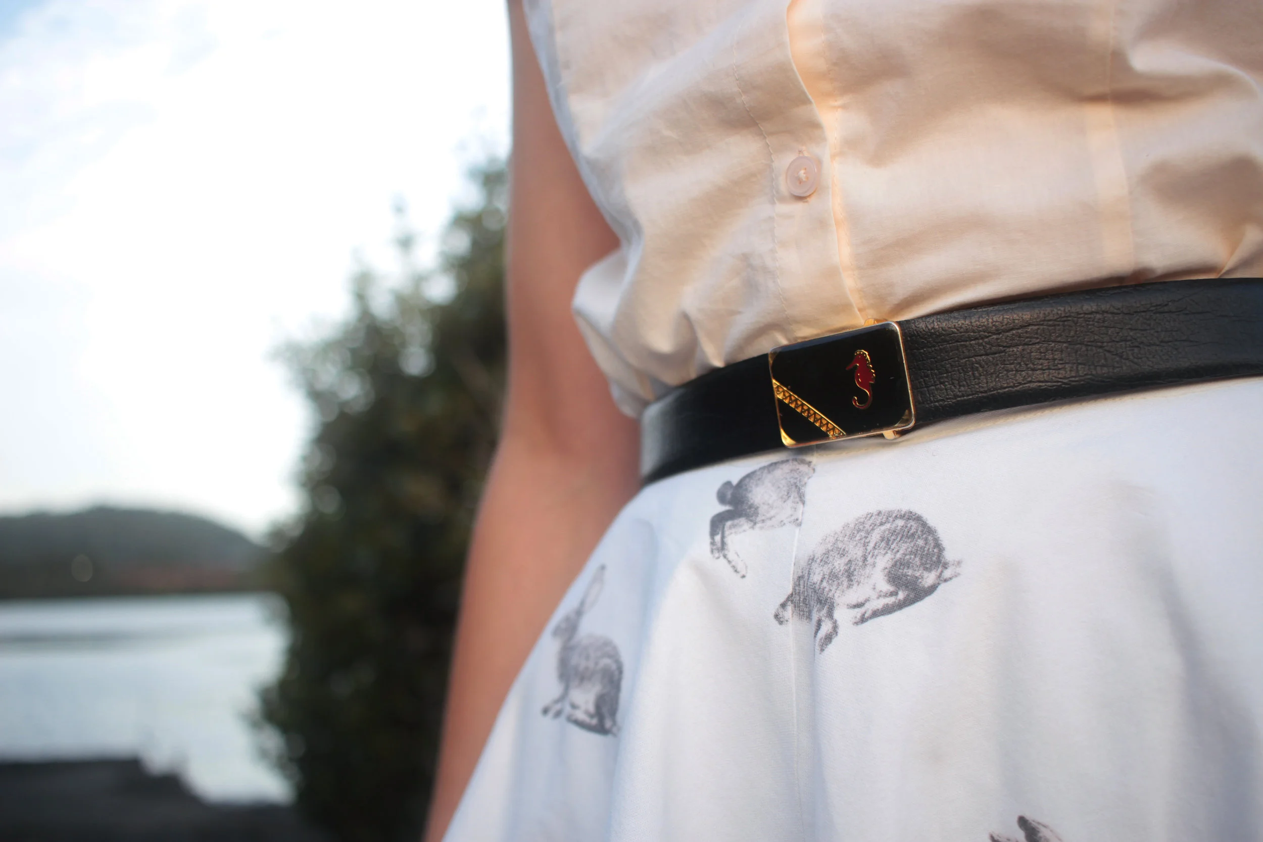 Belt Details.jpg