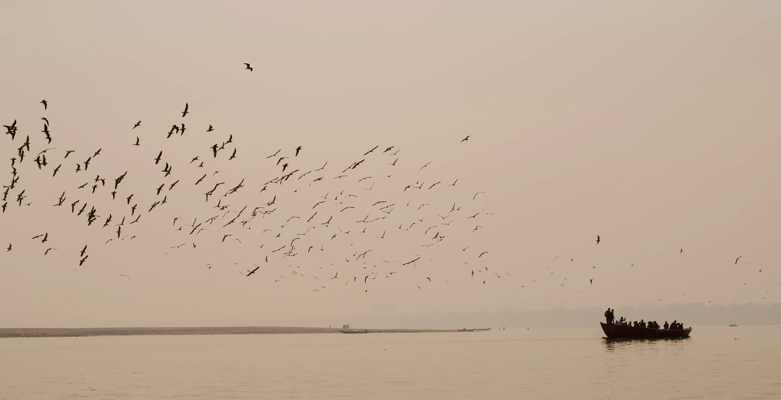 DSC_5880.jpg
