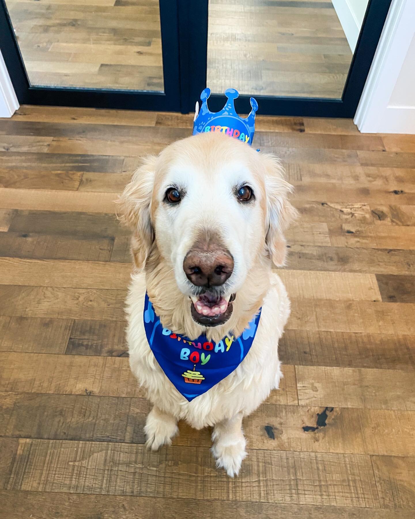 This handsome boy is 10! Happy birthday, Tuck Tuck. You are the best and we love you more than you know 💙🎉