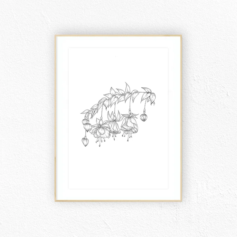 Botanical Art_Fuschia_Jessica Flood Design.jpg