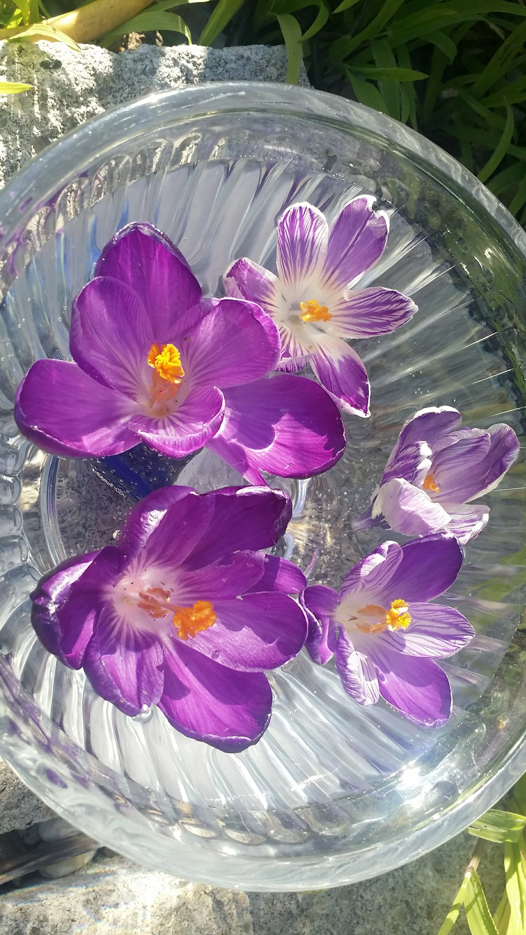 20170302_160430.jpg
