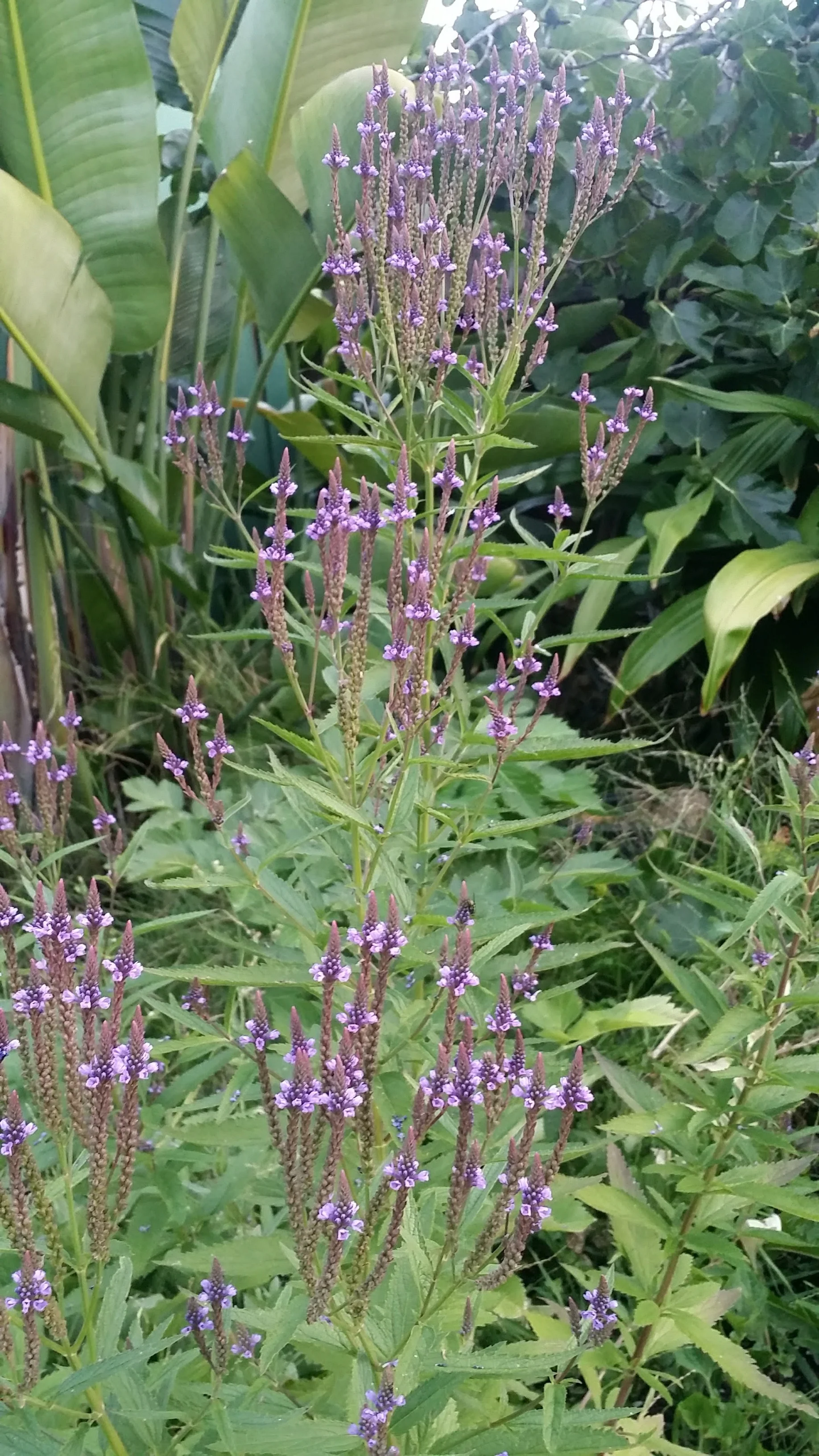 20170706_202308.jpg