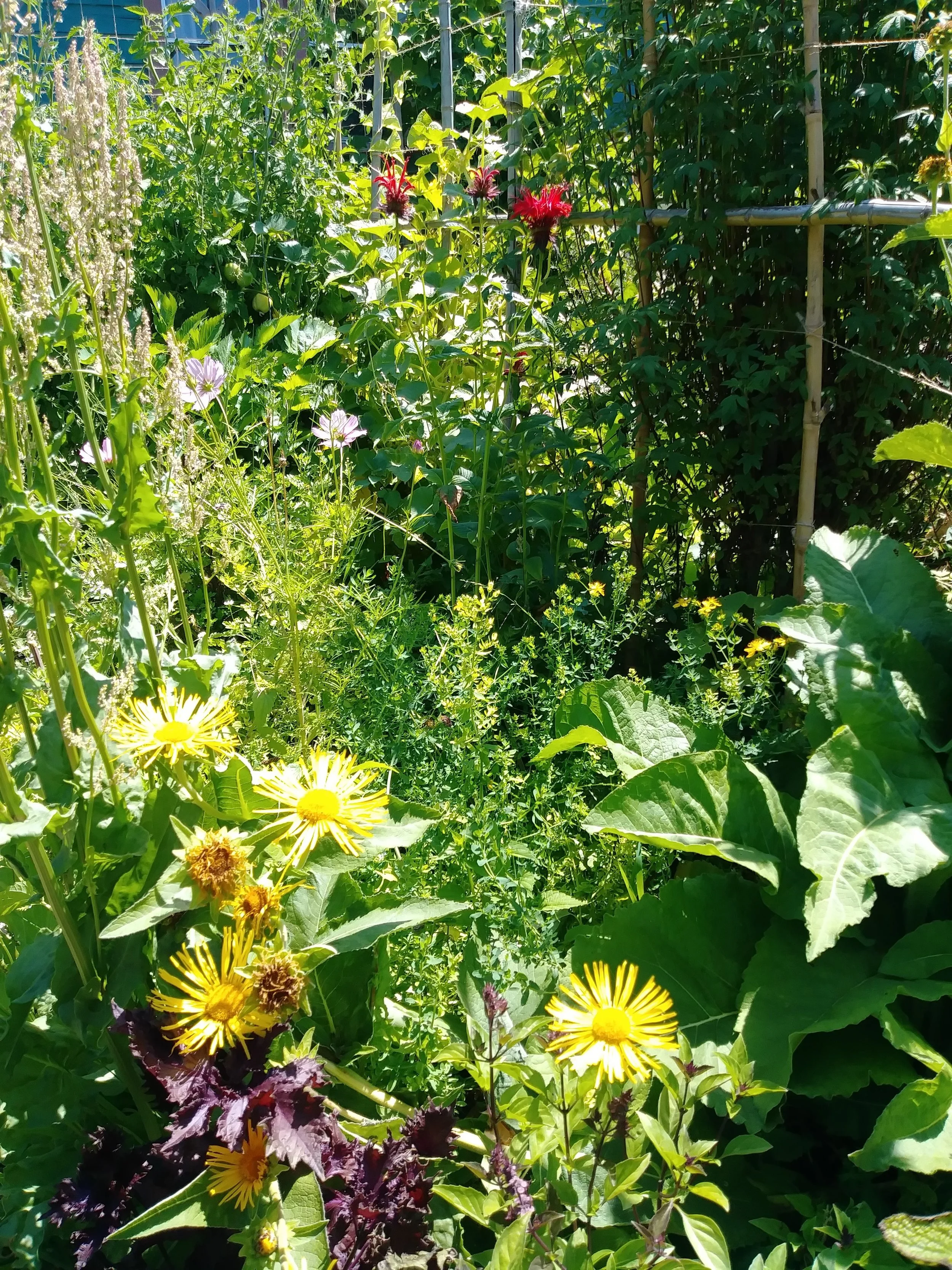 20170725_112821.jpg