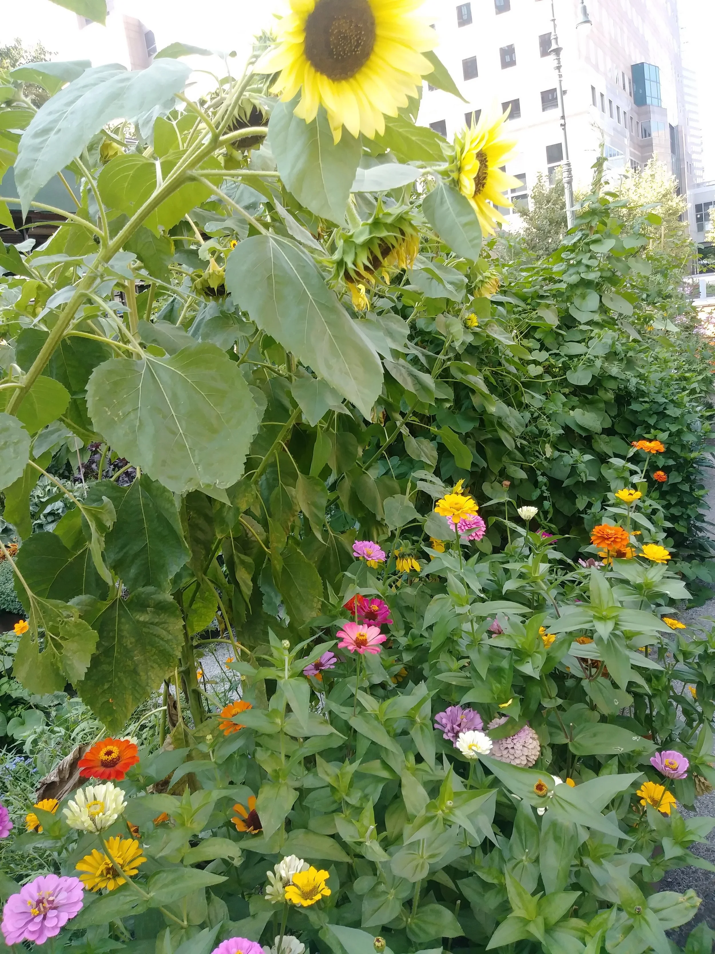 20170820_161432.jpg
