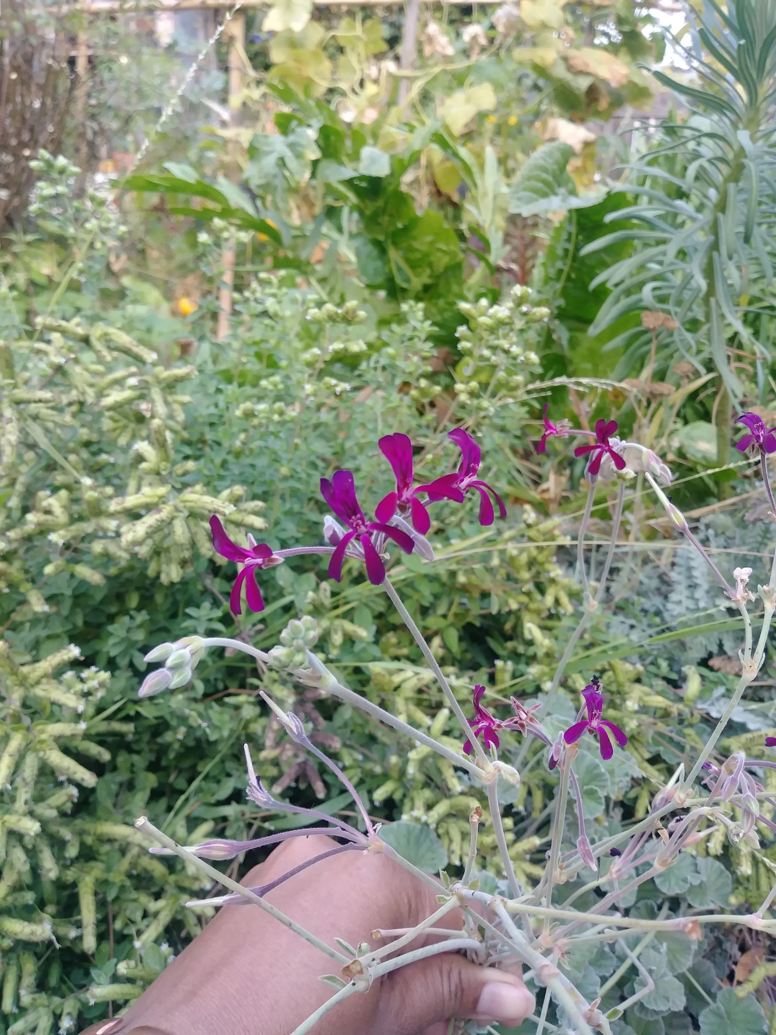 20171011_093246.jpg