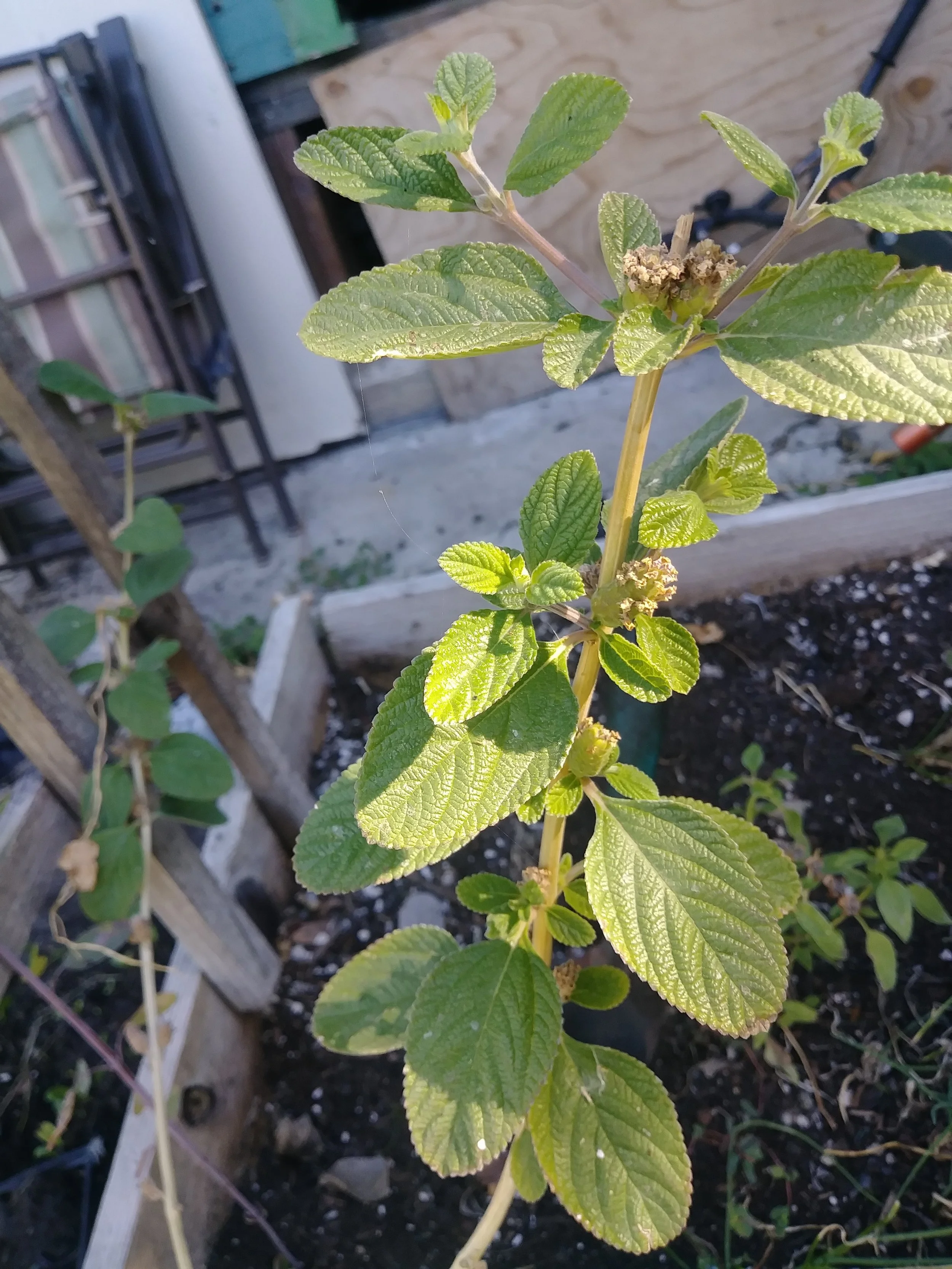 20171024_104723.jpg