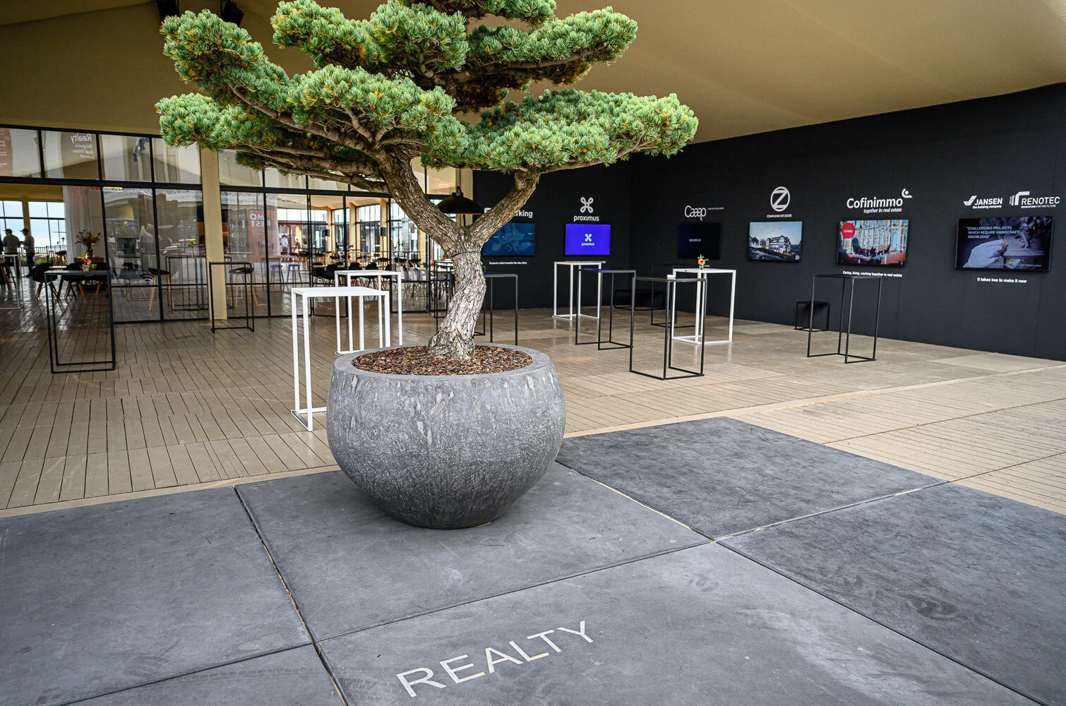 Realty 6.jpg