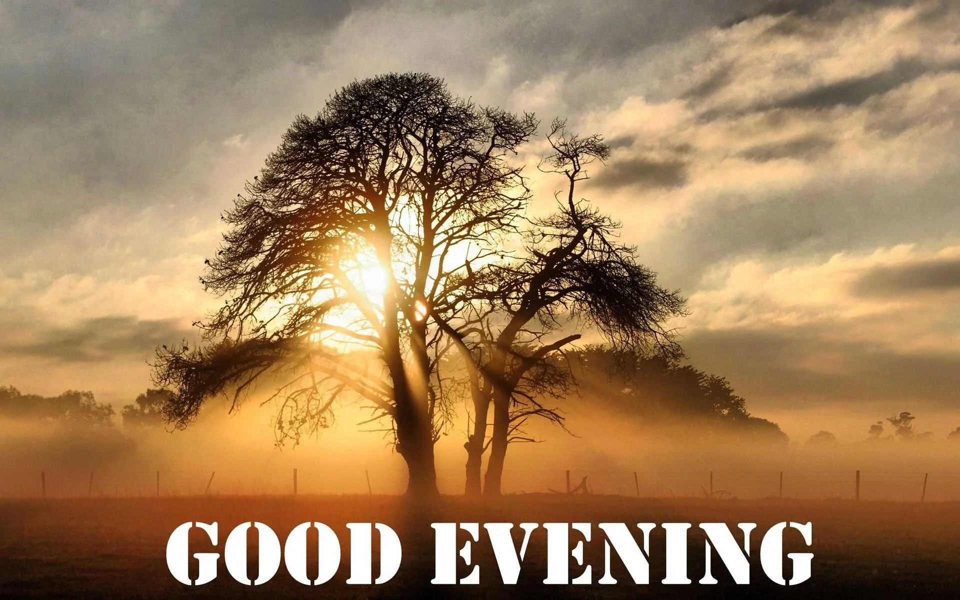 Good Evening 2.jpg