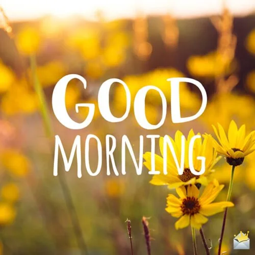 good morning 4.jpg