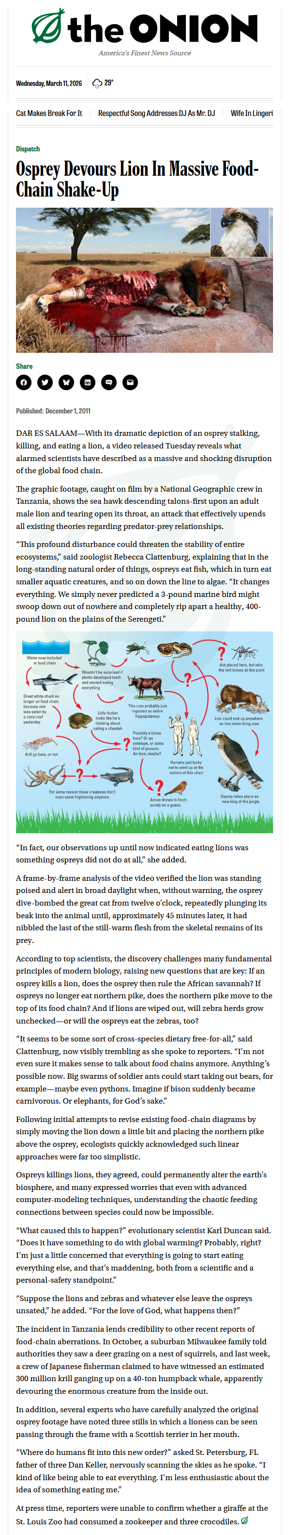 theonion-osprey-devours-lion-in-massive-food-chain-shake-up2.png