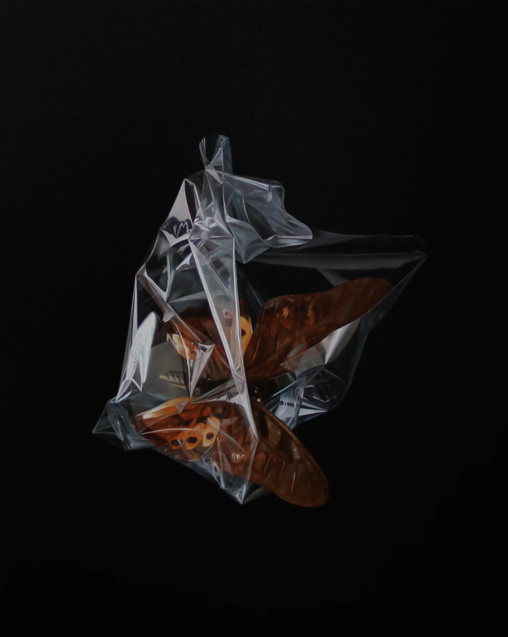 Butterfly Effect I