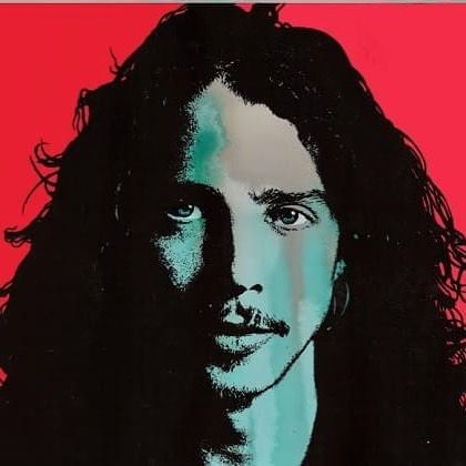 Today marks 2 years since the death of Chris Cornell, one of our favorite artists. Our song “Glenn Rhee” was partly inspired by him, as well as the untimely losses of some of our other favorite musicians and those close to us. As people who have been personally affected by addiction and mental illness, it never really gets any easier losing people we care about. But at least we know these incredible artists live on through their music and the impact they’ve made and will continue to make on generations of listeners, and the loved ones we’ve lost live on through our memories and the ways they touched our hearts. Much love, Chris. Rest In Peace. #chriscornell #prince #davidbowie #scottweiland #gonetoosoon