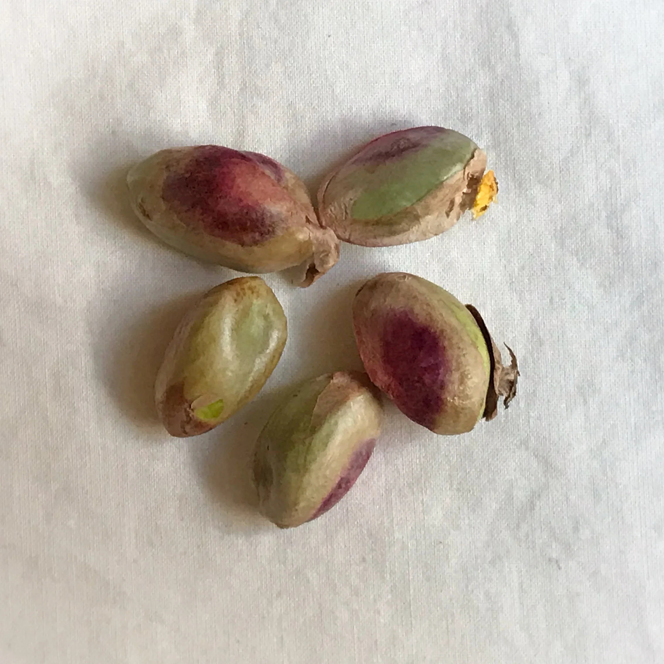 Fresh pistachios out of their shell. The (edible) papery husk is deep red-to-brown-to-green, and the inside is green.