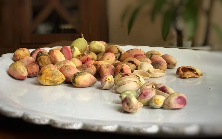 Fresh, raw pistachios in various states of undress