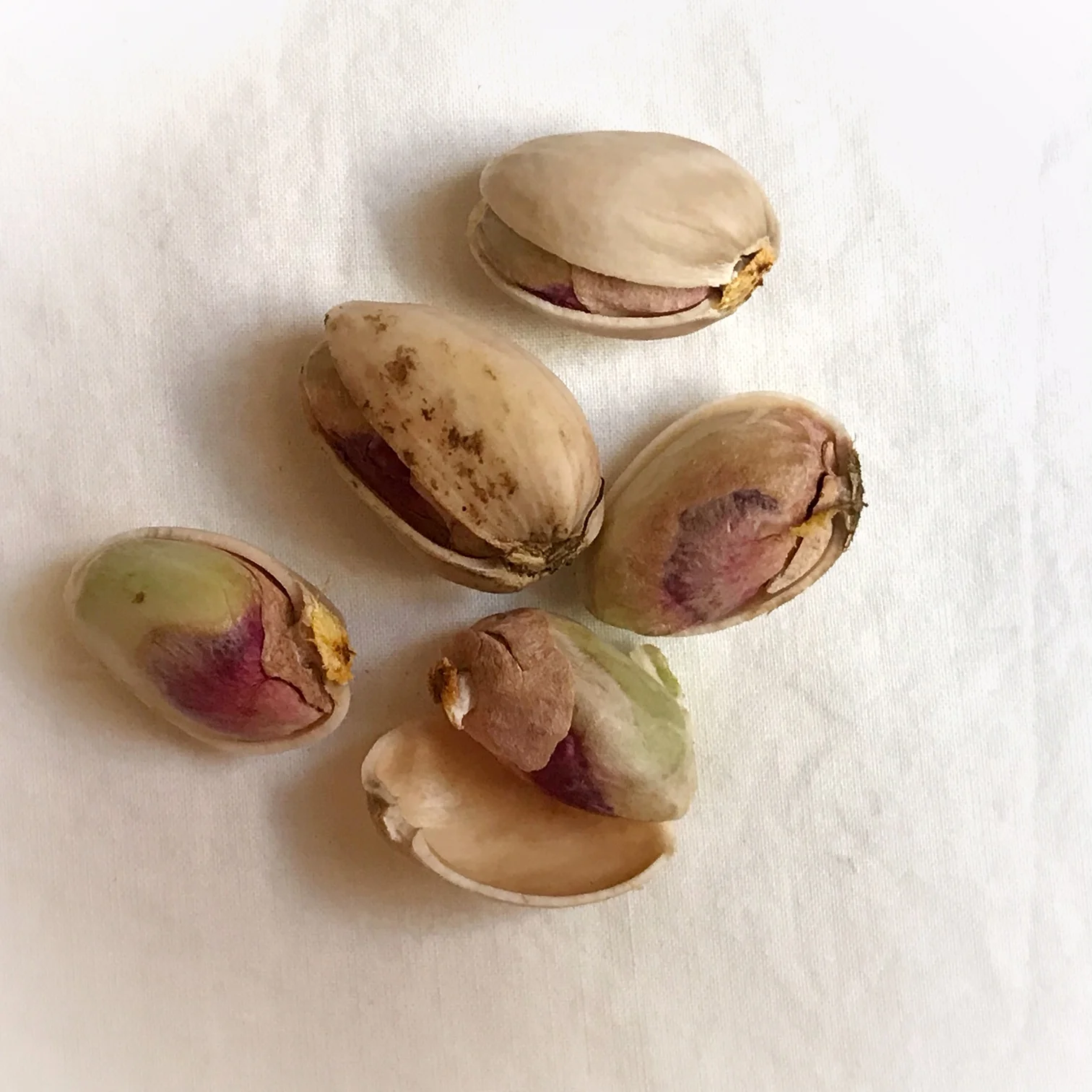 Fresh pistachios in and out of their shells. The top one is khandan – laughing.