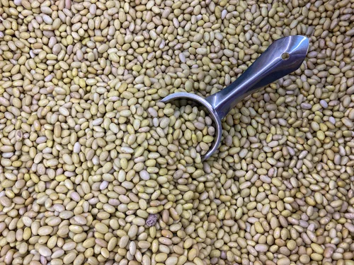 Bayo Beans — Cooks Without Borders