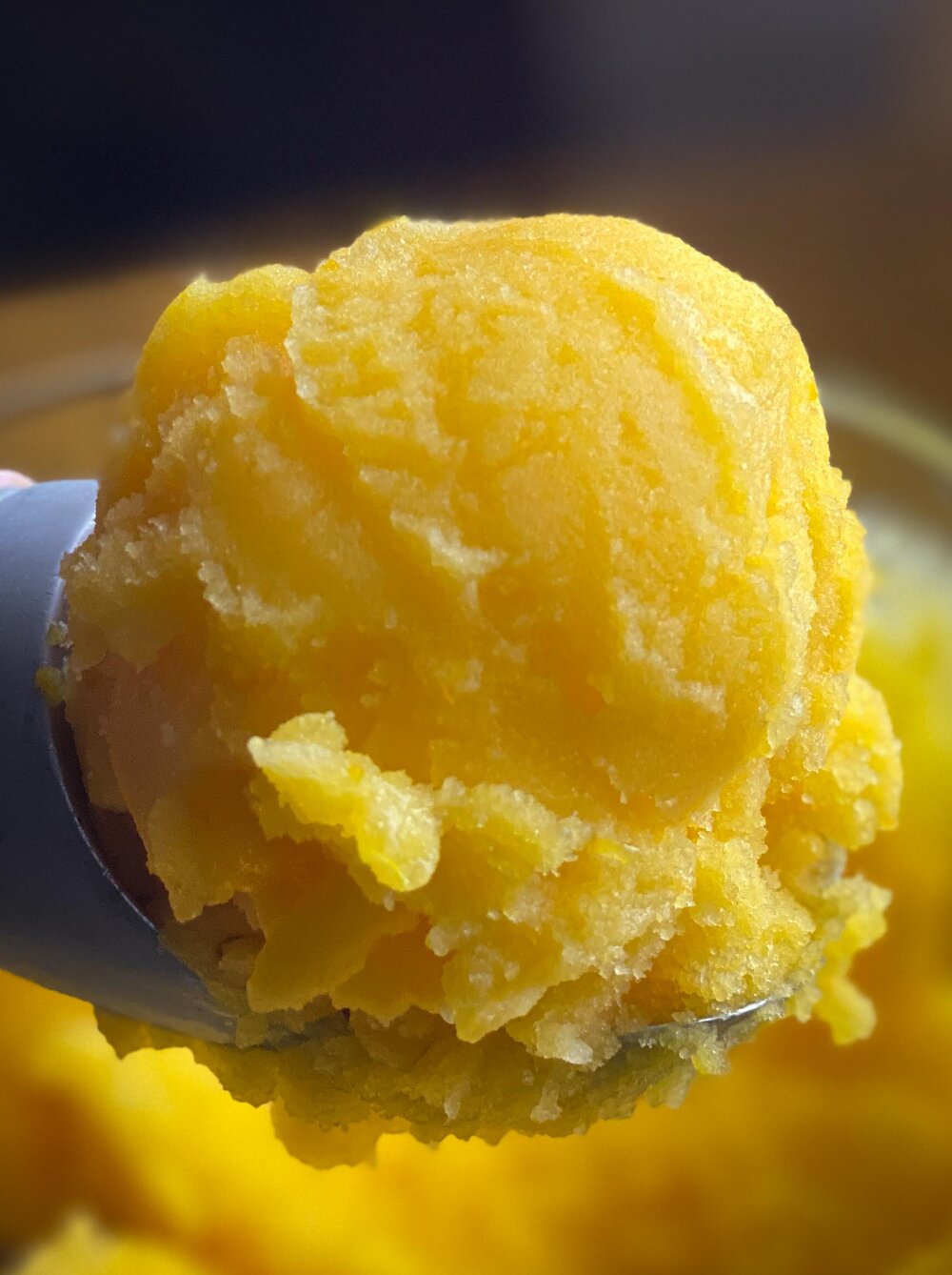 The Perfect Scoop' Tangerine Sorbet — Cooks Without Borders