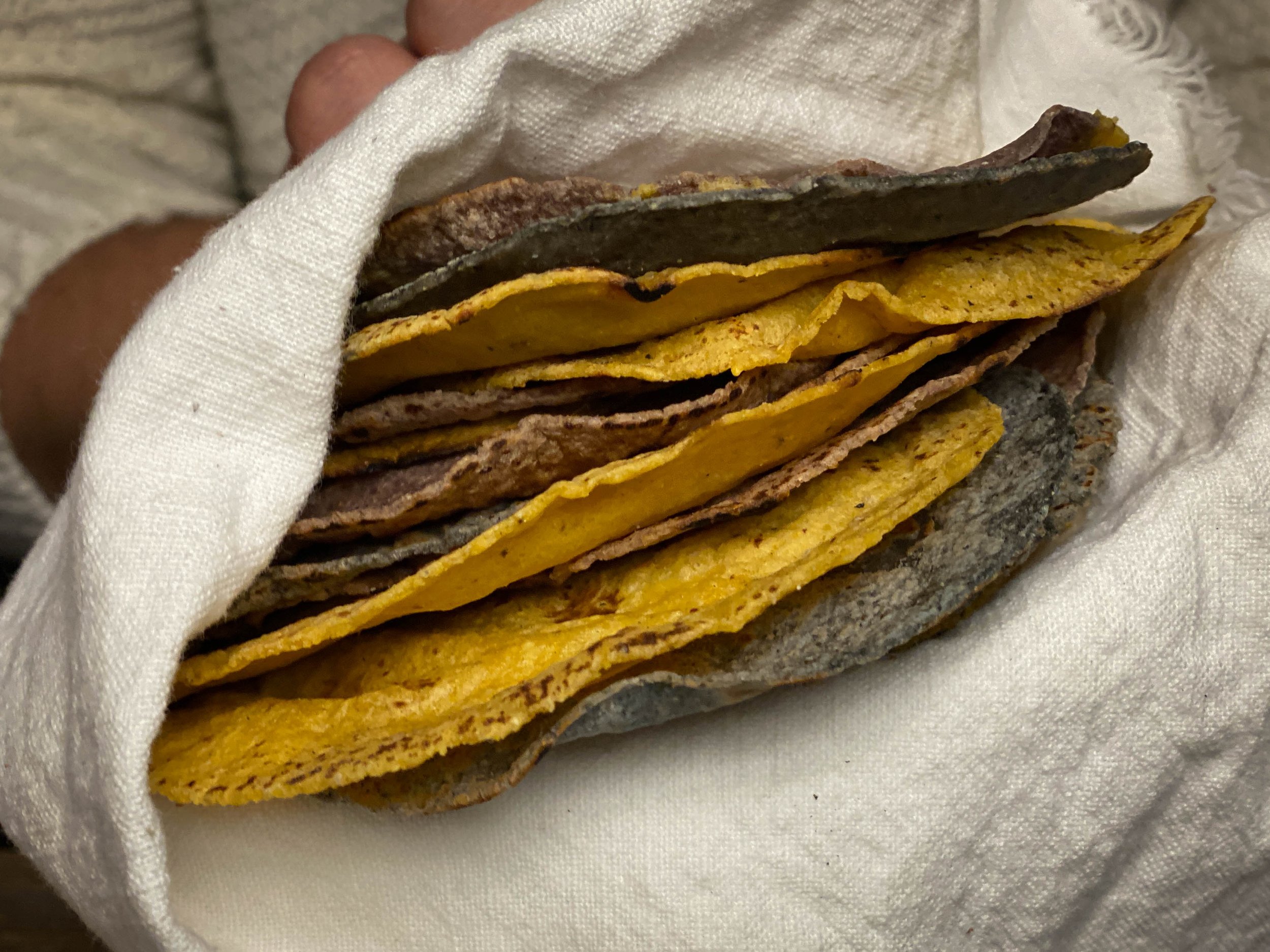 Corn Tortillas