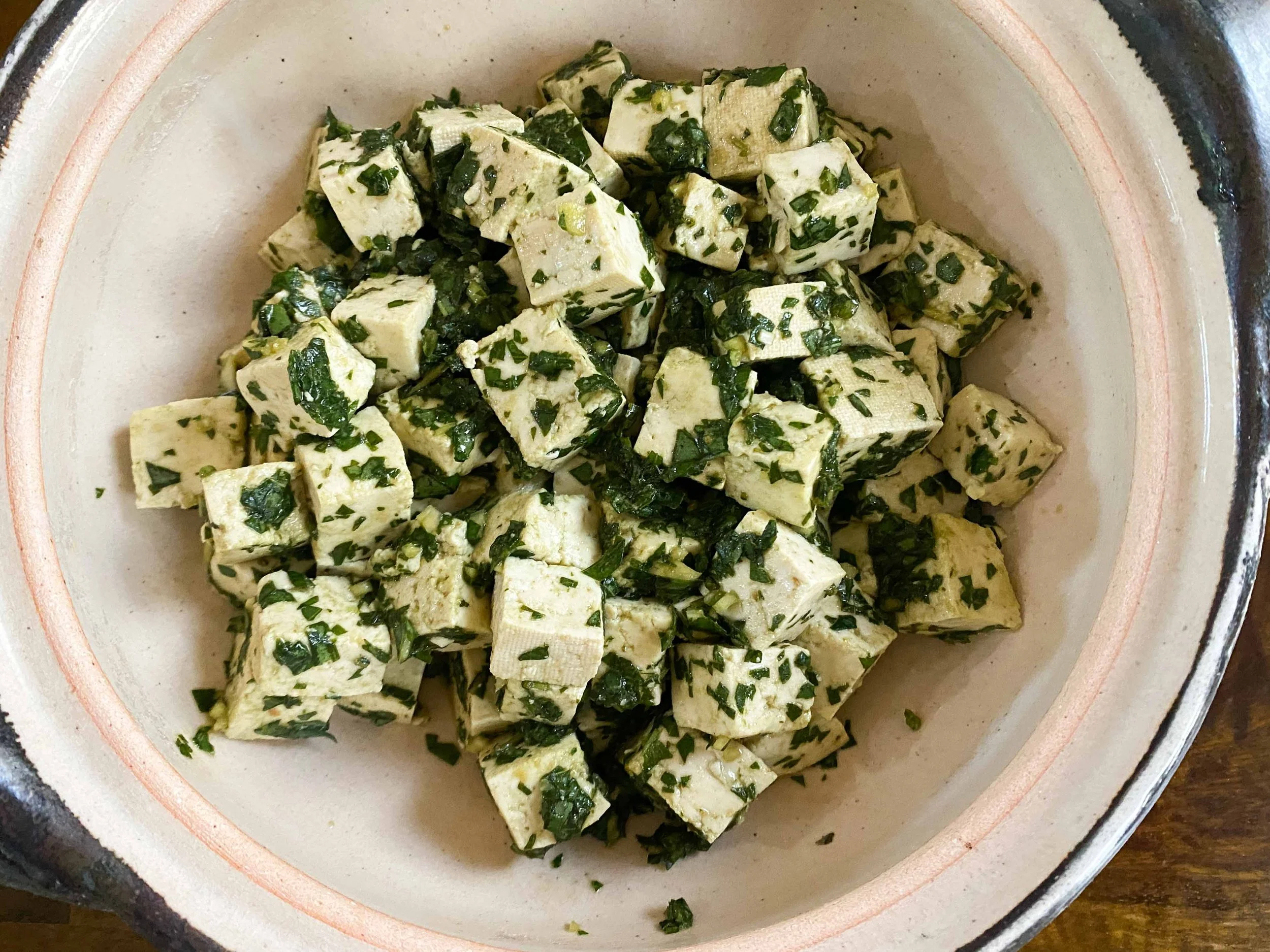 Vegan Chinese tofu overhead.JPG
