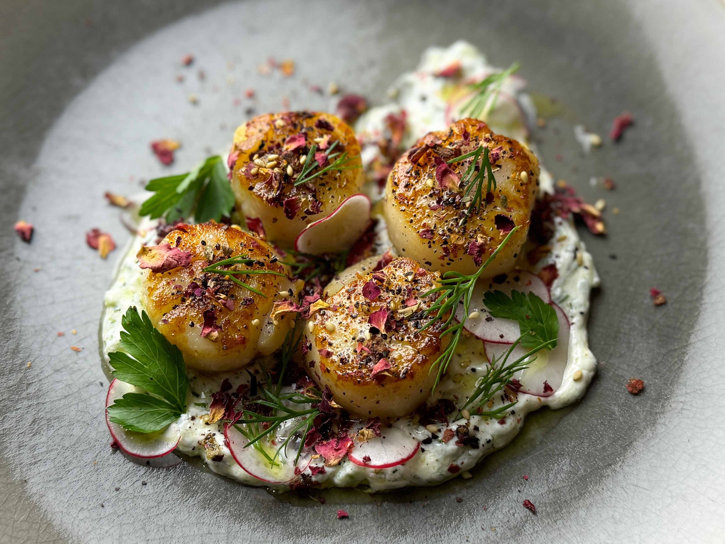 Scallops with Tzatziki