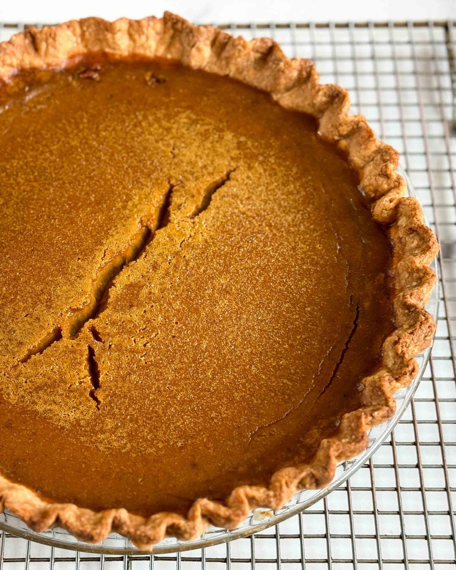 Pumpkin Pie with Heirloom Wheat-Cream Cheese Crust