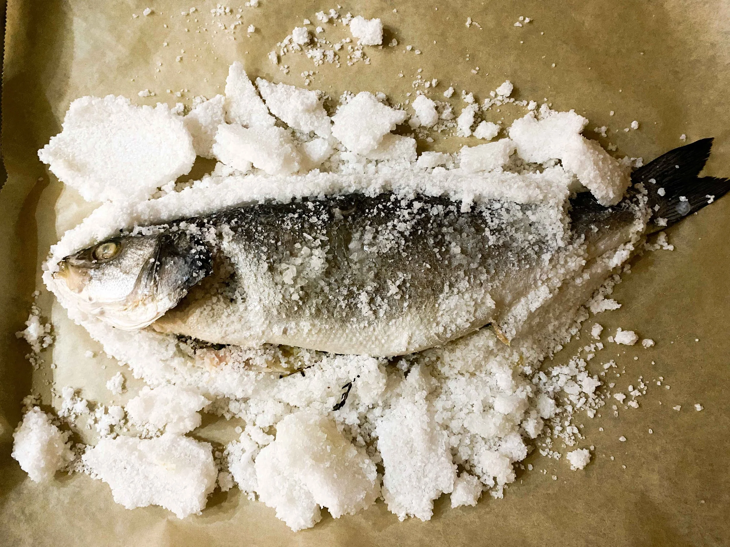 Branzino al Sale — Cooks Without Borders