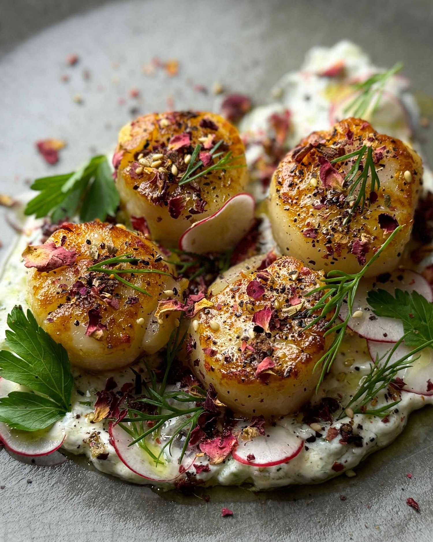 'Zaytinya' Seared Scallops with Tzatziki