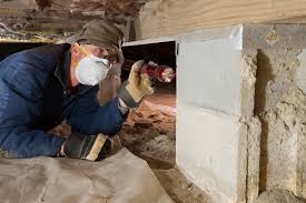 get a local structural pest control branch 3 licensed company to inspect