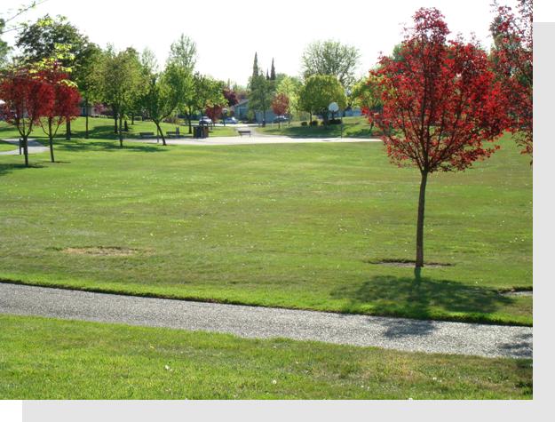 Stratford Park/Coventry is located near several local parks...