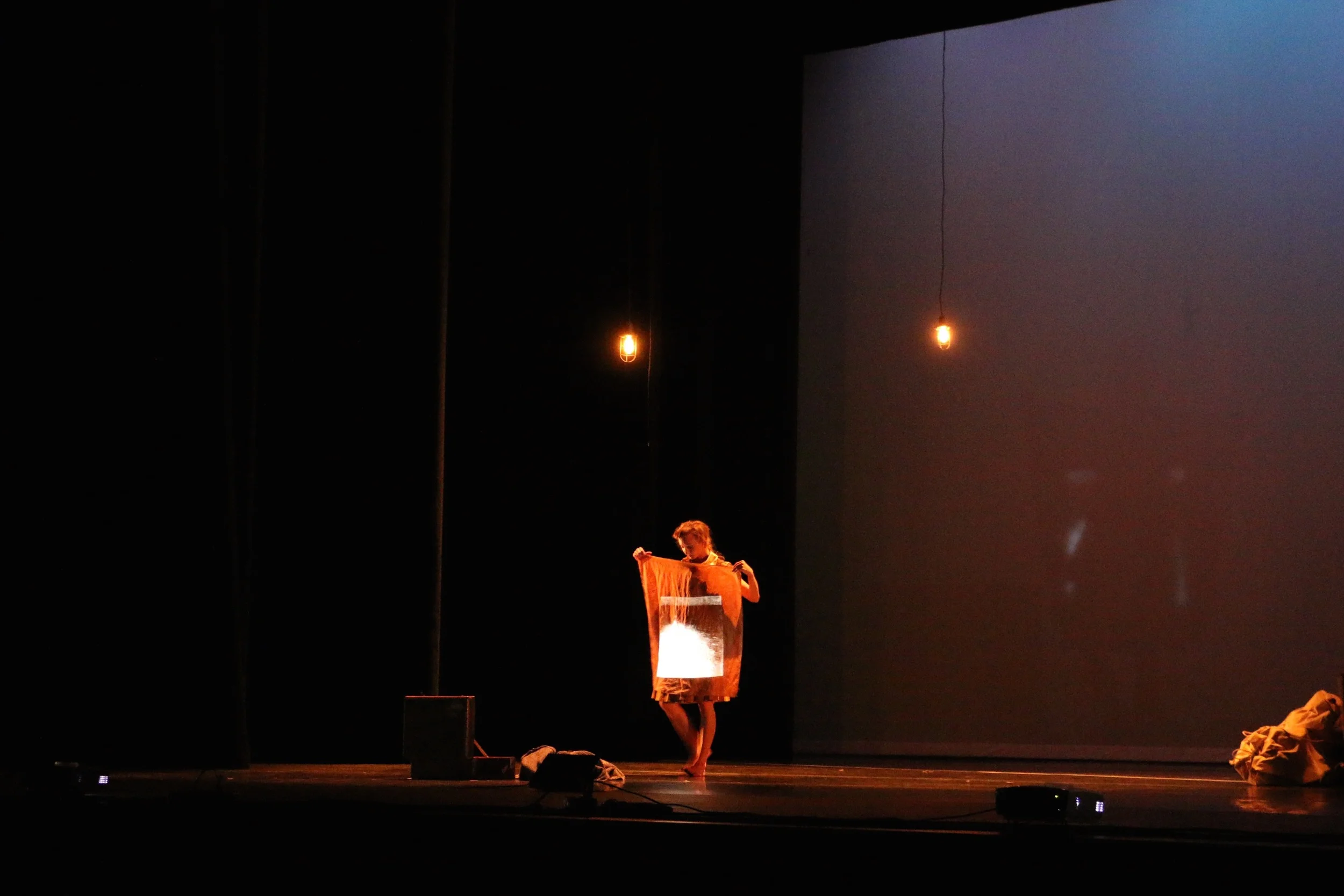 Gaman Performance by CORE Performance Company. Photo by Christian Meyer