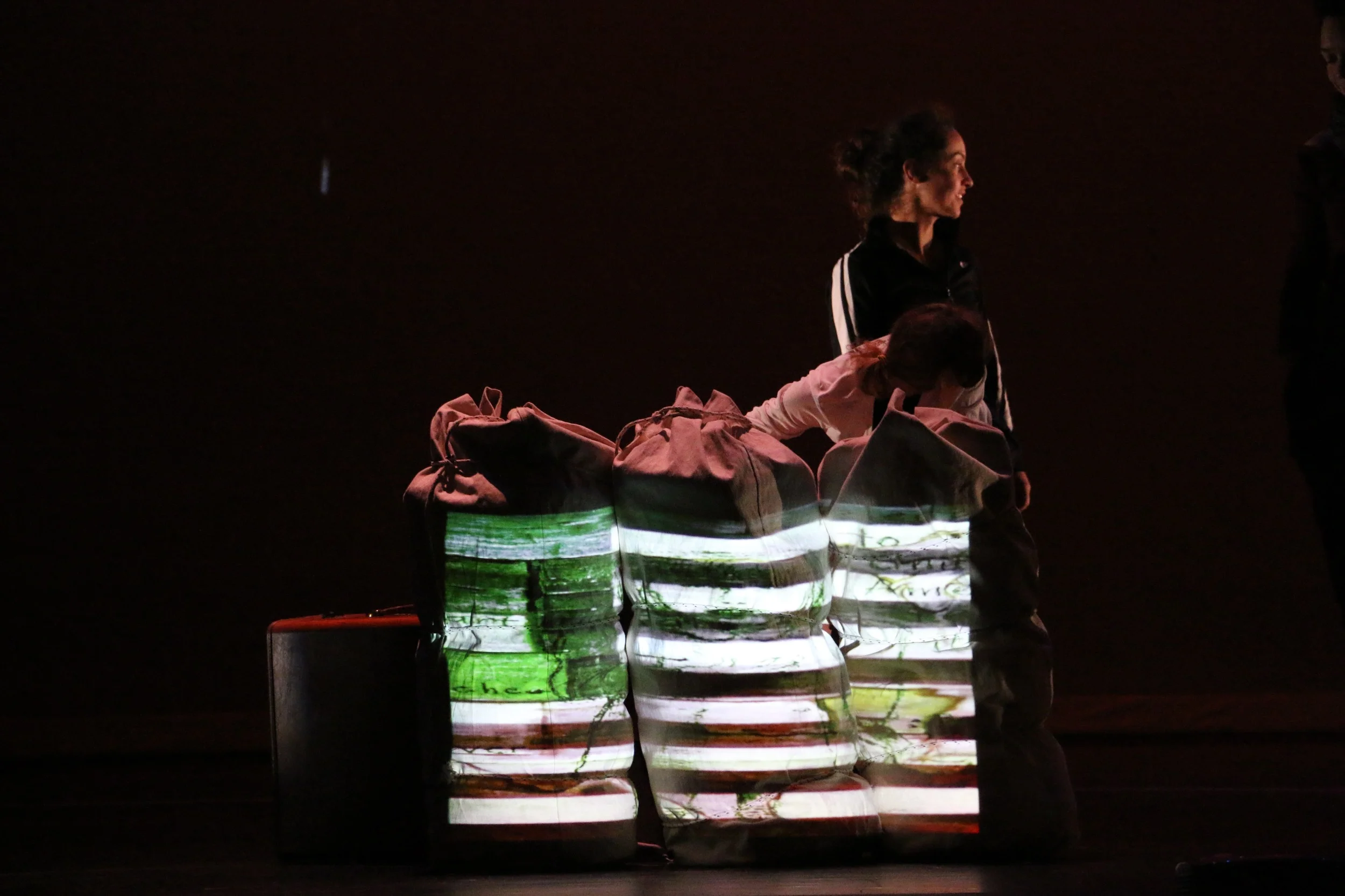 Gaman Performance by CORE Performance Company. Photo by Christian Meyer.