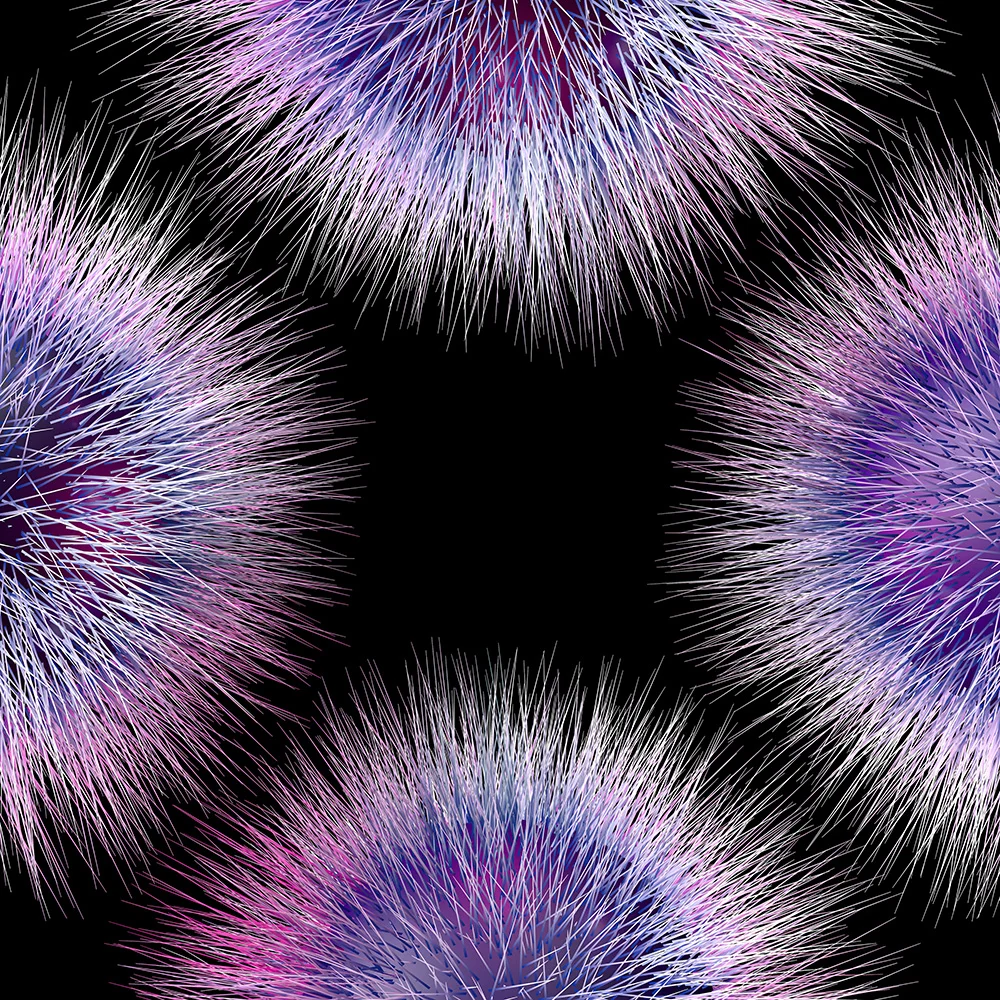 furprint7_0018.jpg