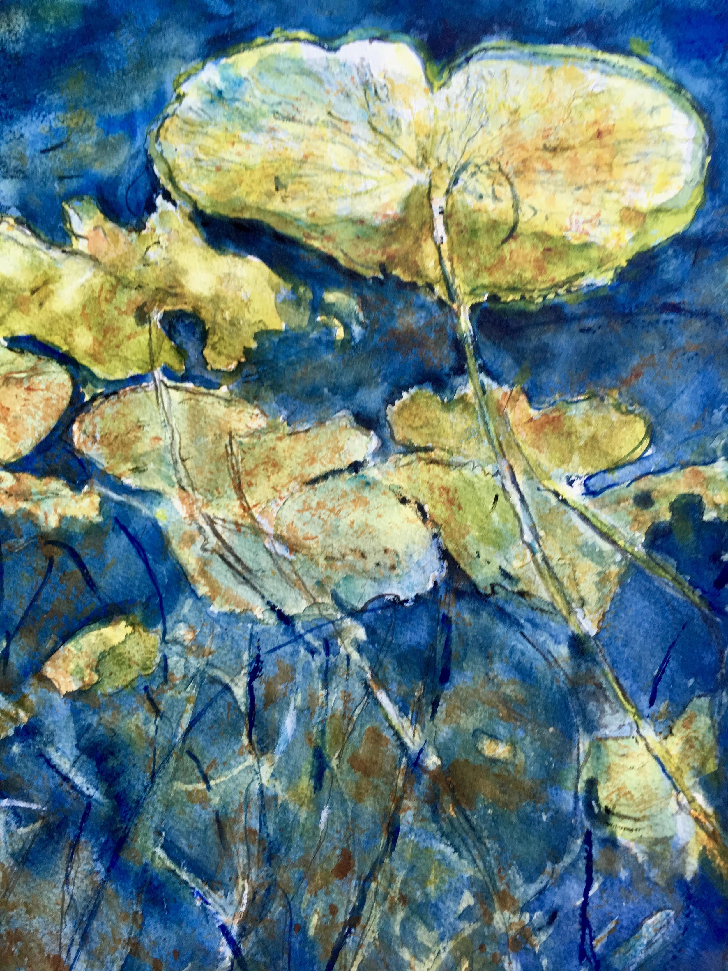 Water Lilies