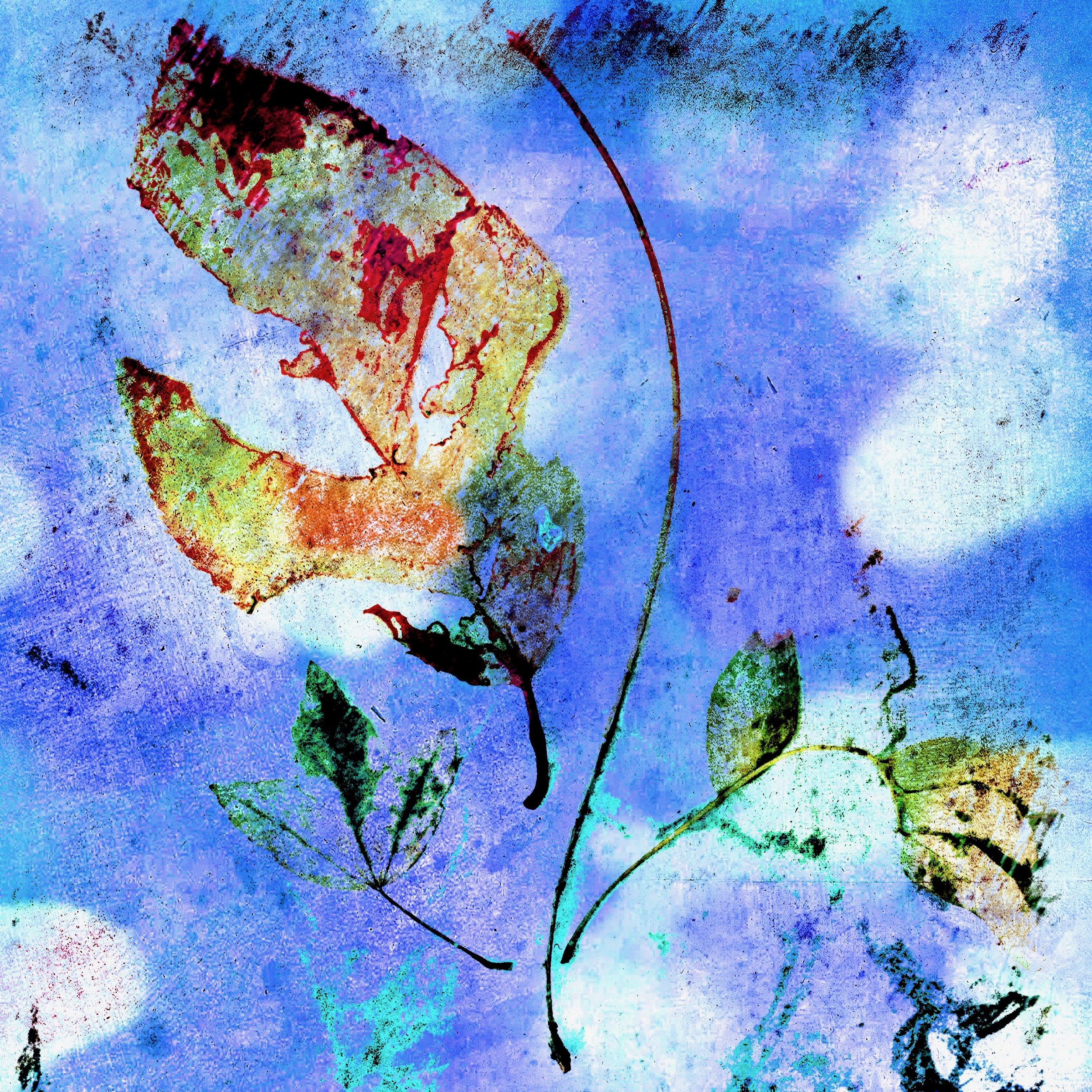 Leaf Mask 10jpeg.jpg