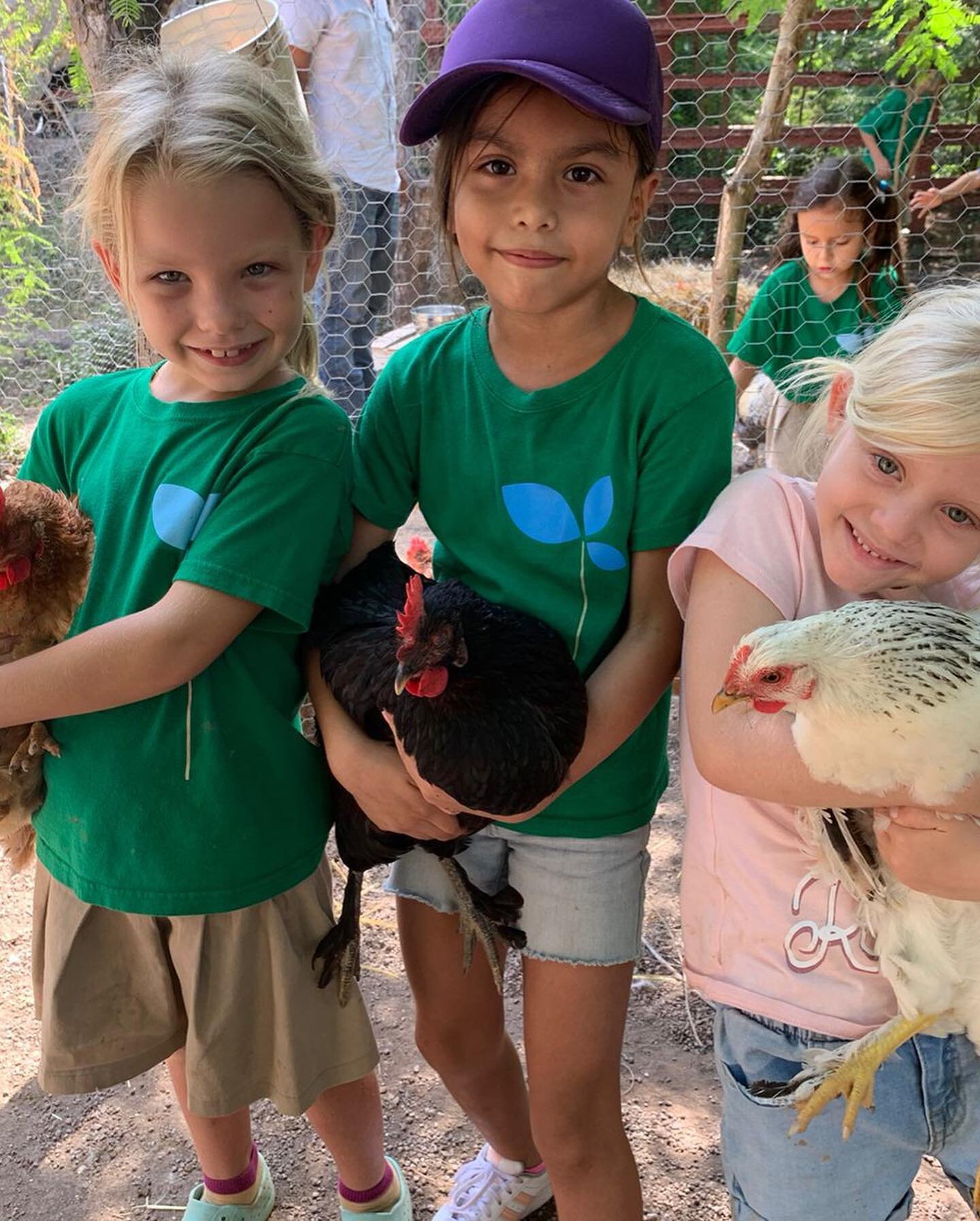 1st and 2nd grades took trips this week to Iyari Play @iyariplay in Lo De Marcos. They learned about and planted morninga, the &ldquo;miracle tree,&rdquo; baked in the mud kitchen, painted with natural paints, climbed and played, and oh yeah, chicken